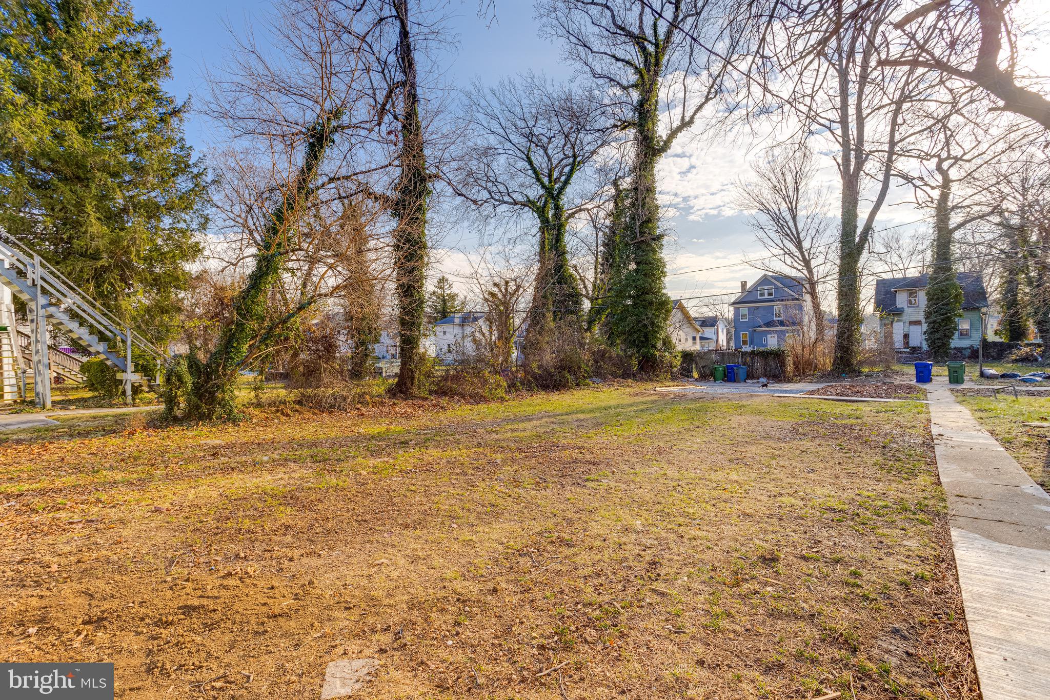 CENTRAL FOREST PARK - Residential