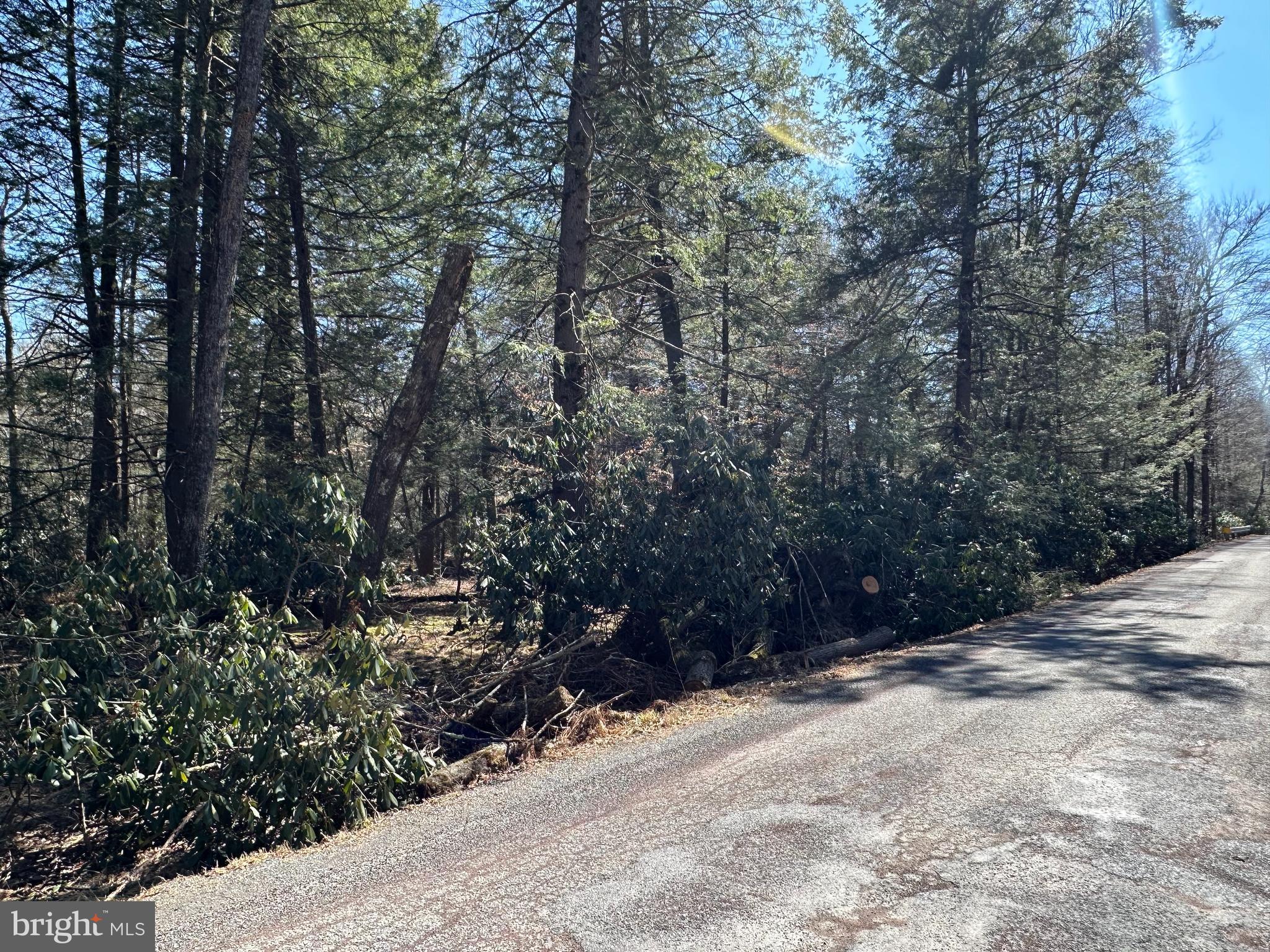0 MILLS DRIVE
