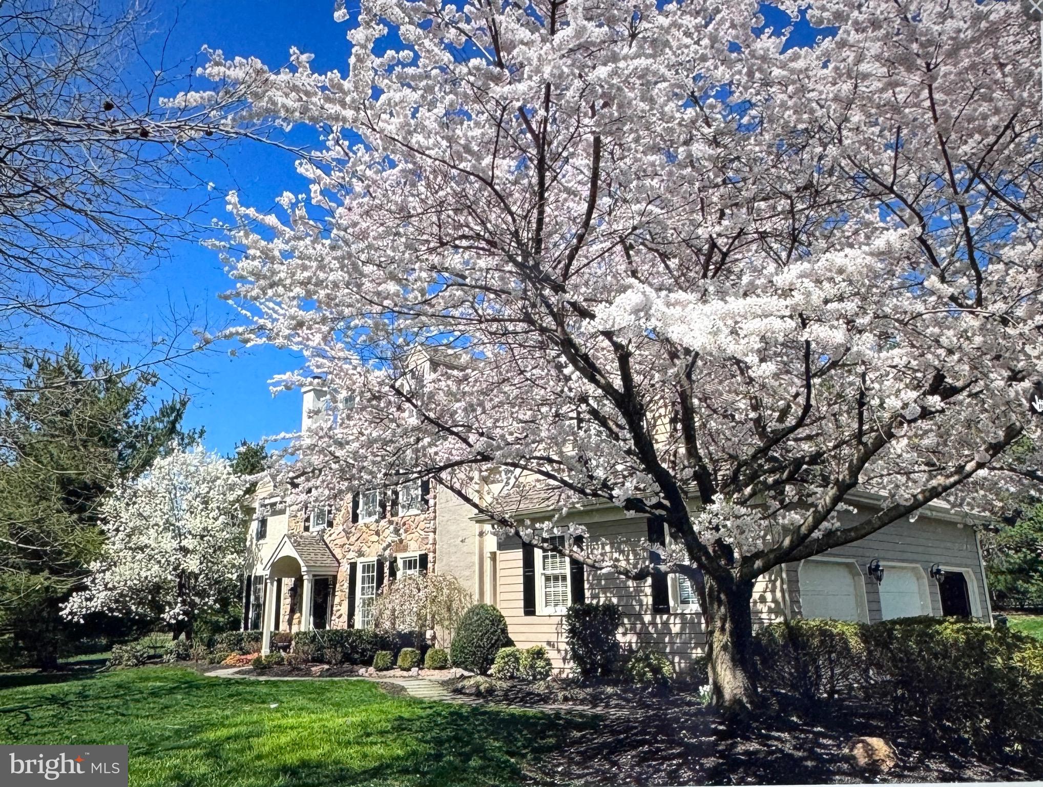 MATTHEWS MEADOWS - Residential