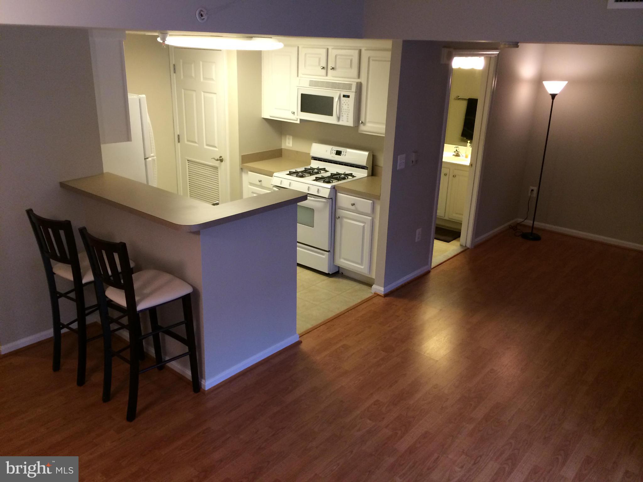 GALLERY AT WHITE FLINT - Residential