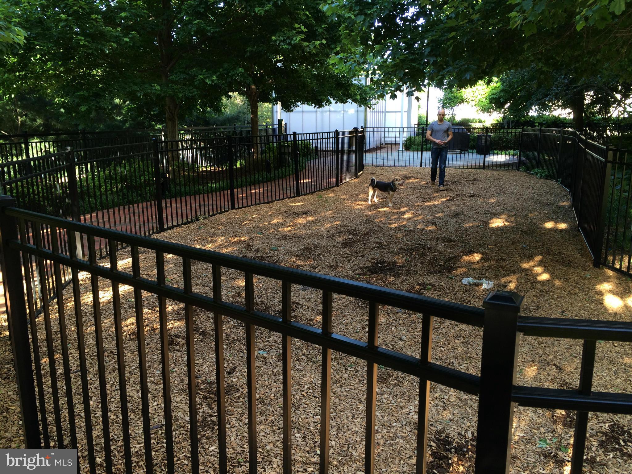 GALLERY AT WHITE FLINT - Residential