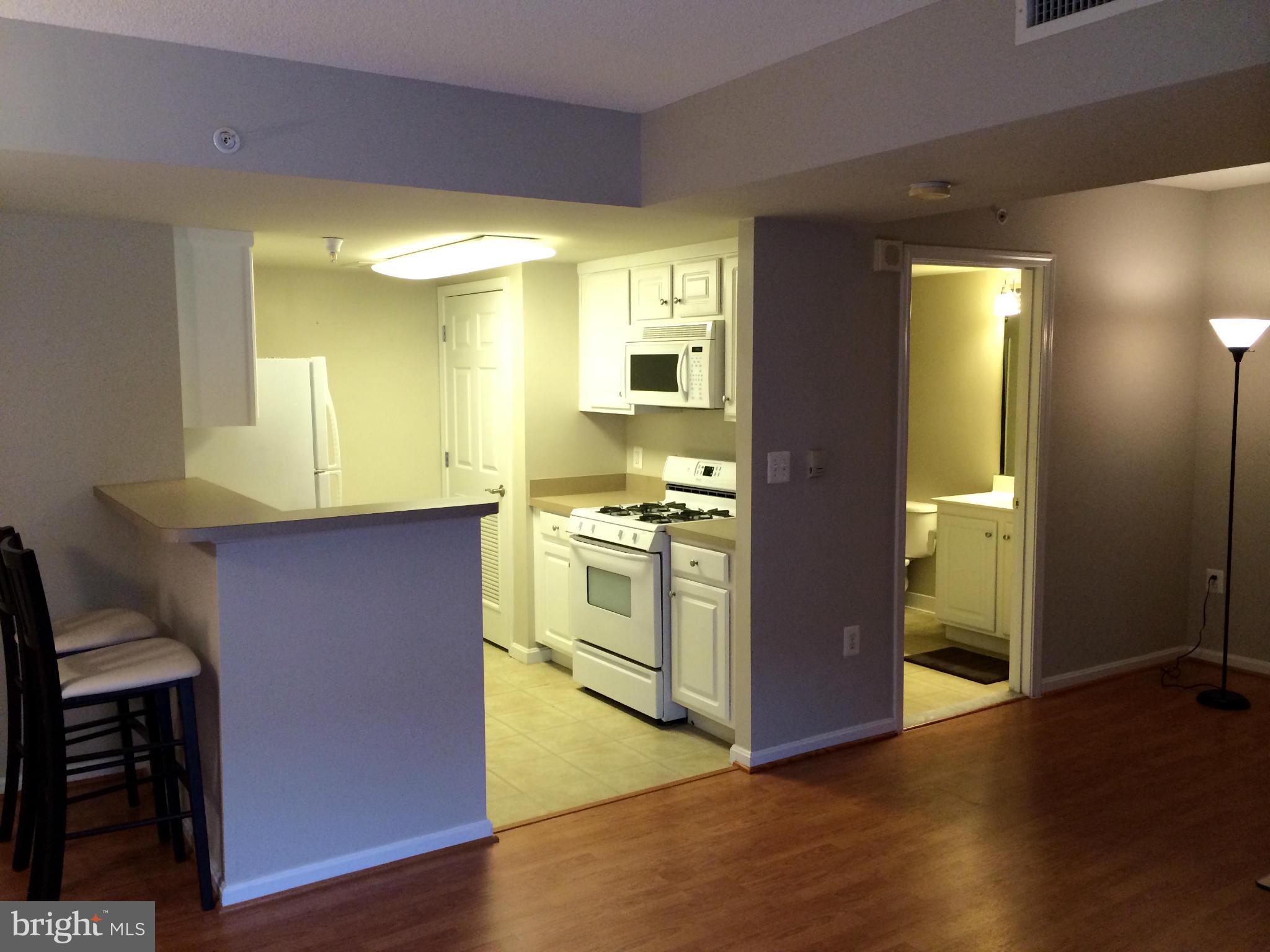 GALLERY AT WHITE FLINT - Residential