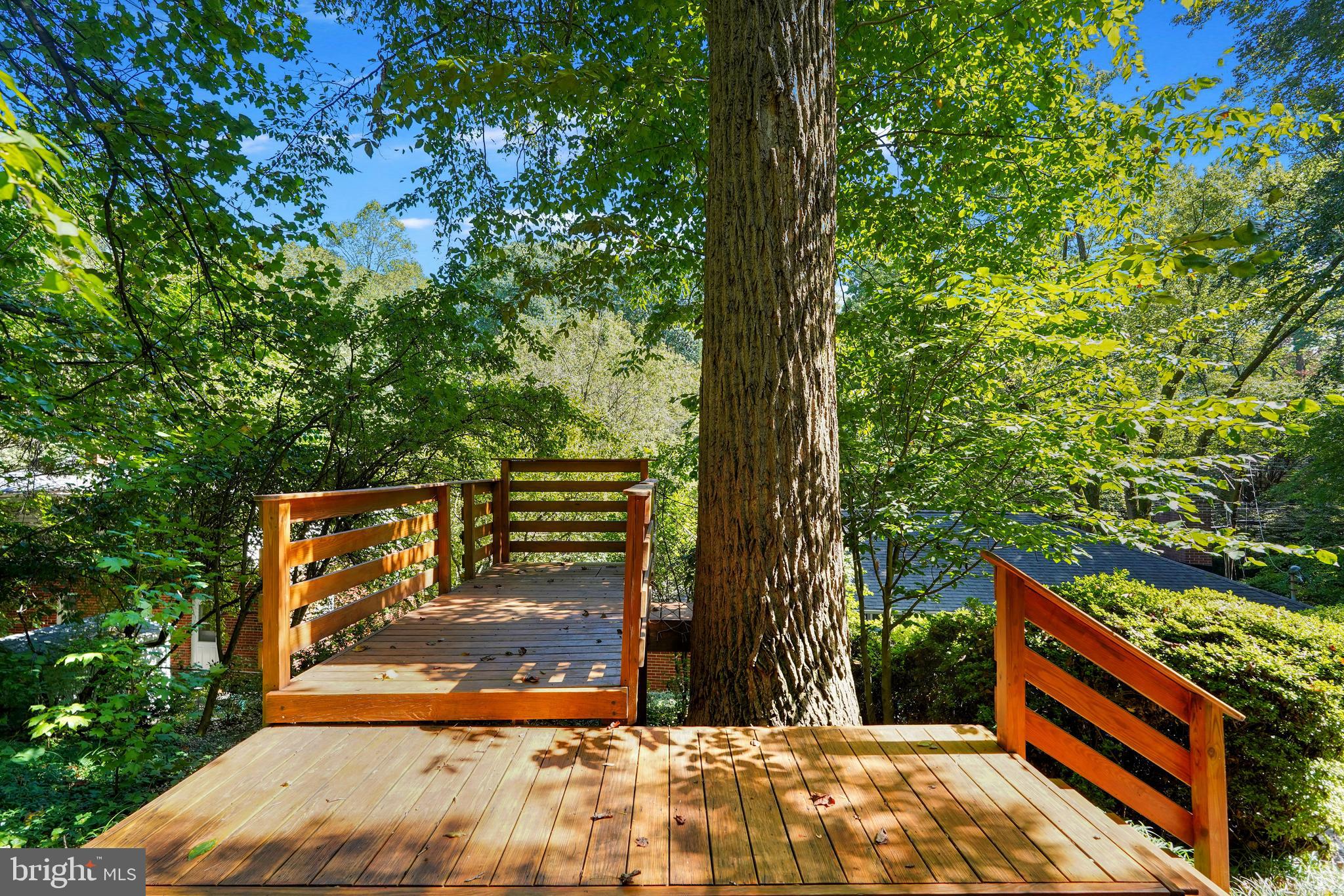 TAKOMA PARK - Residential