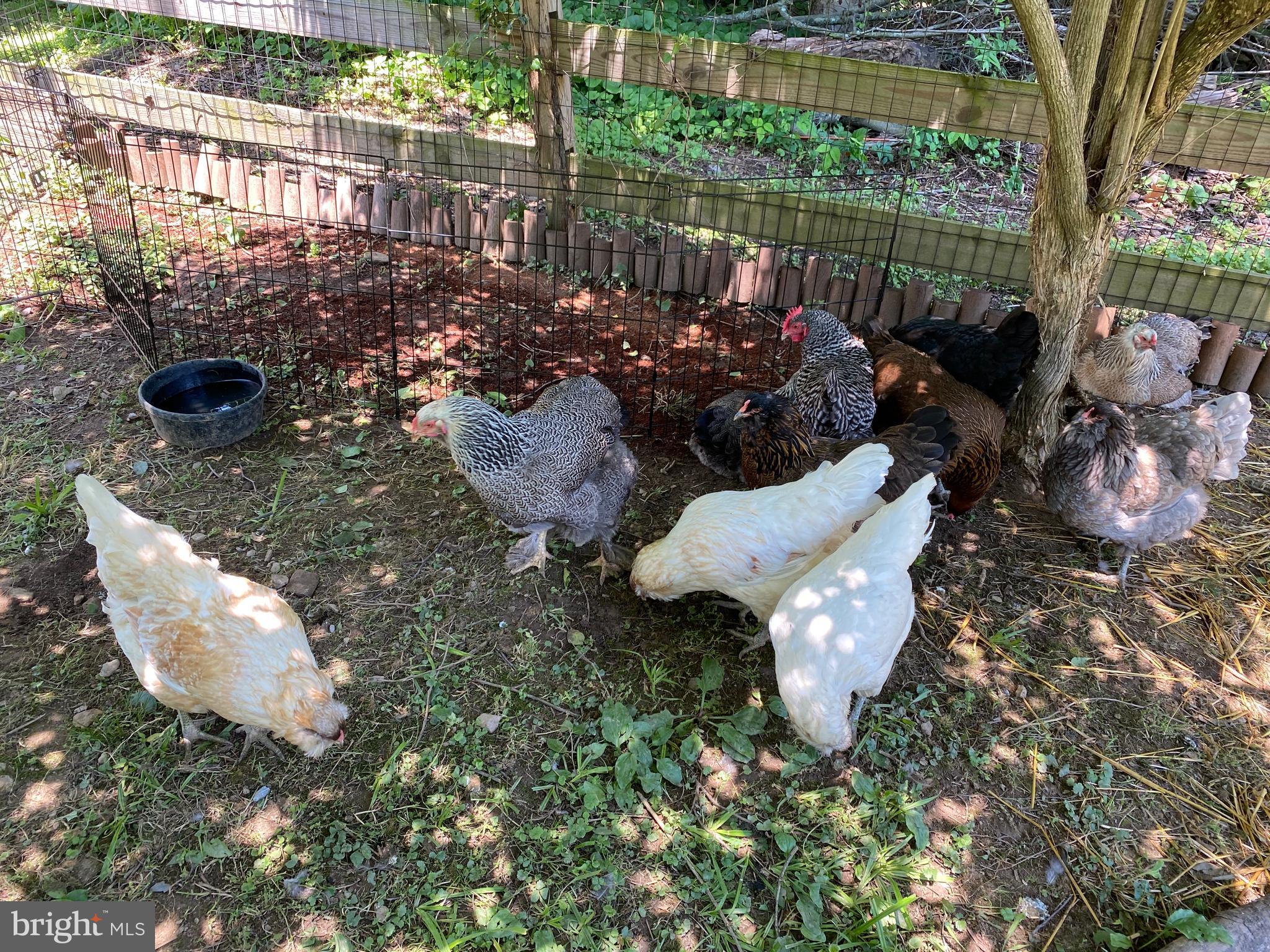 PENN FIELD - Residential