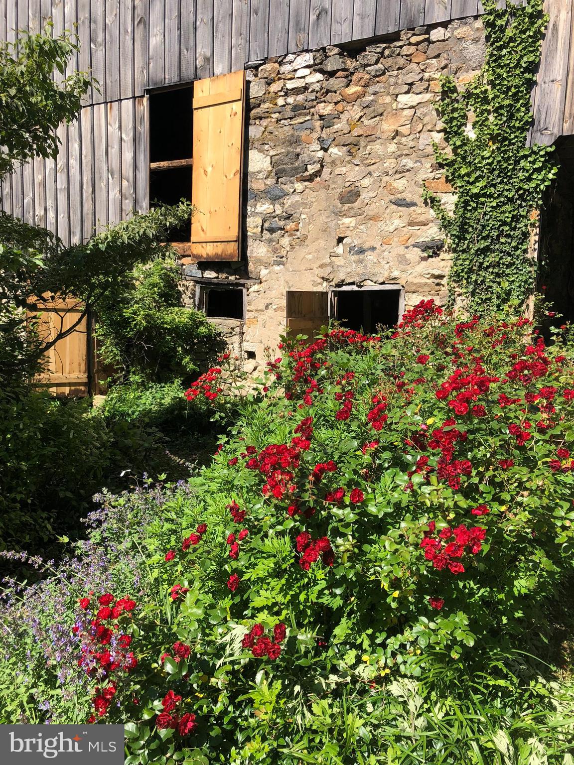 PENN FIELD - Residential