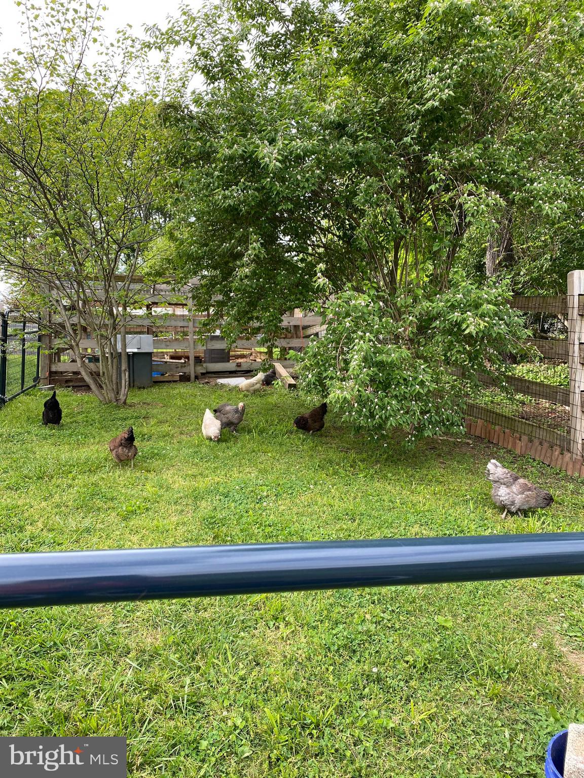 PENN FIELD - Residential