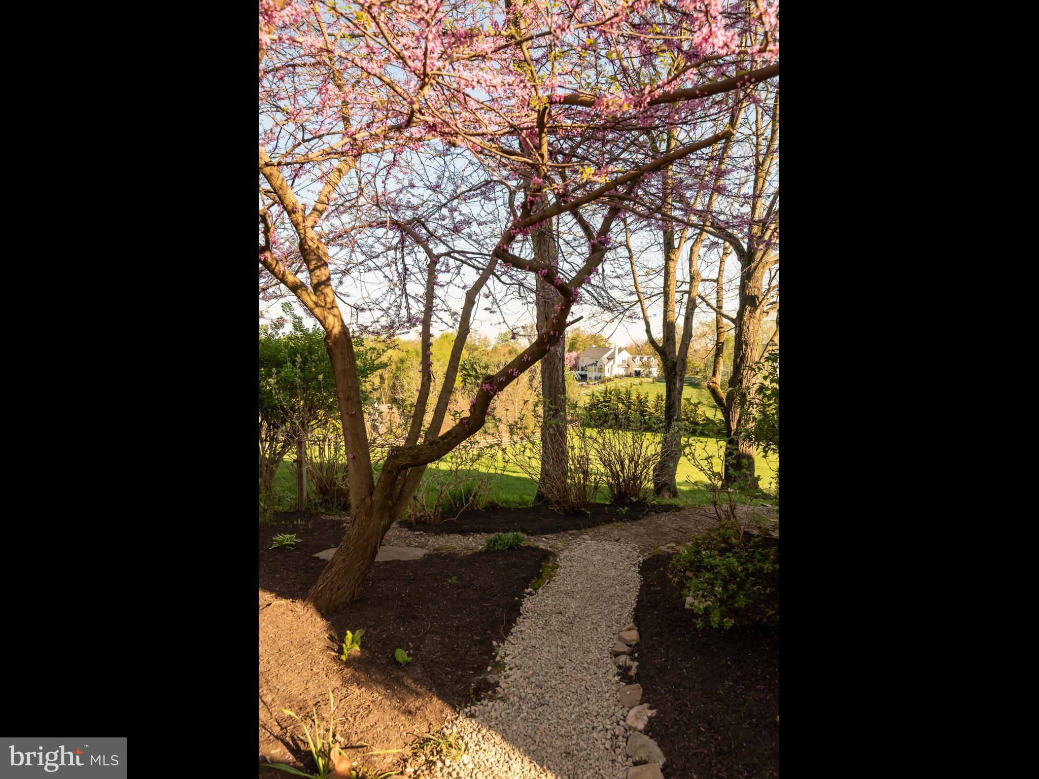 PENN FIELD - Residential