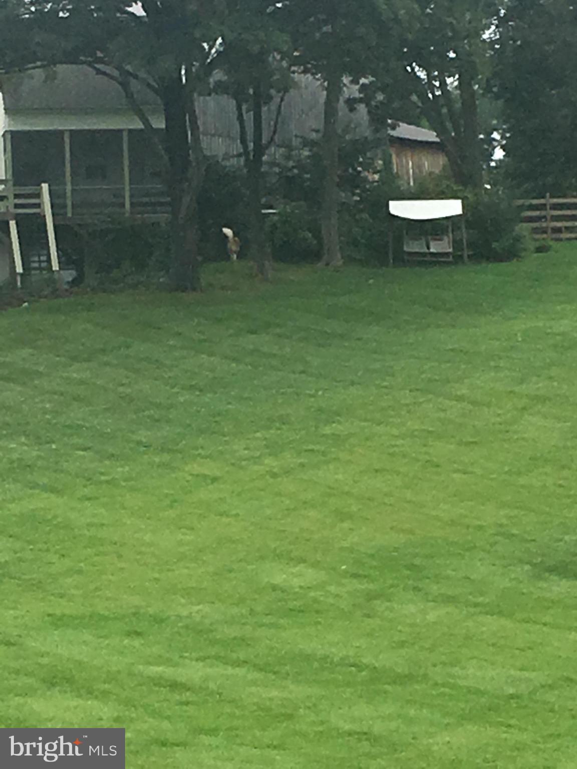 PENN FIELD - Residential