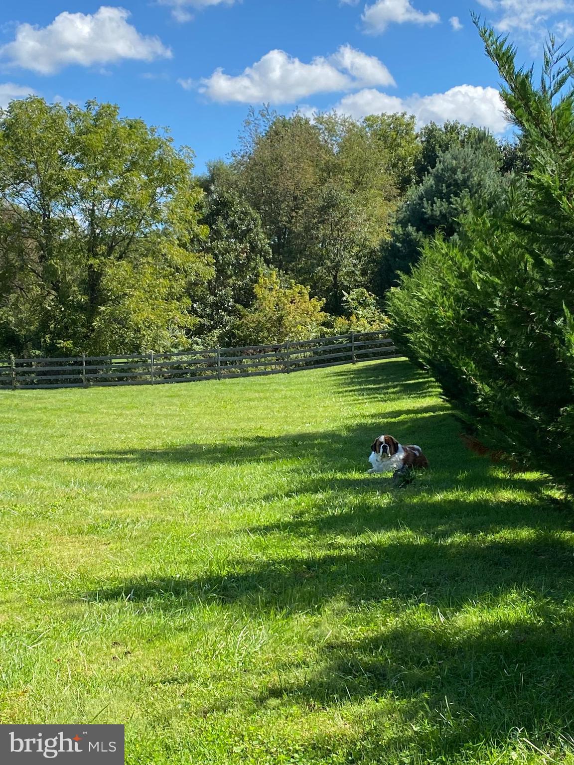 PENN FIELD - Residential