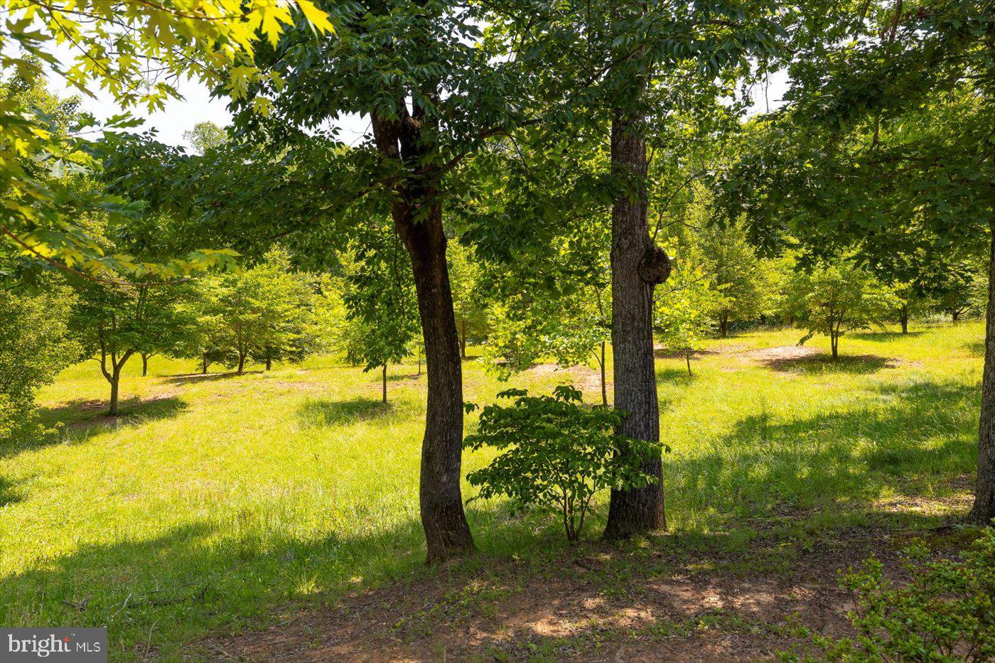 PEACH GROVE ROAD