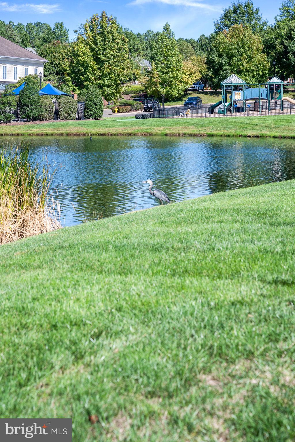 REGENCY AT DOMINION VALLEY - Residential