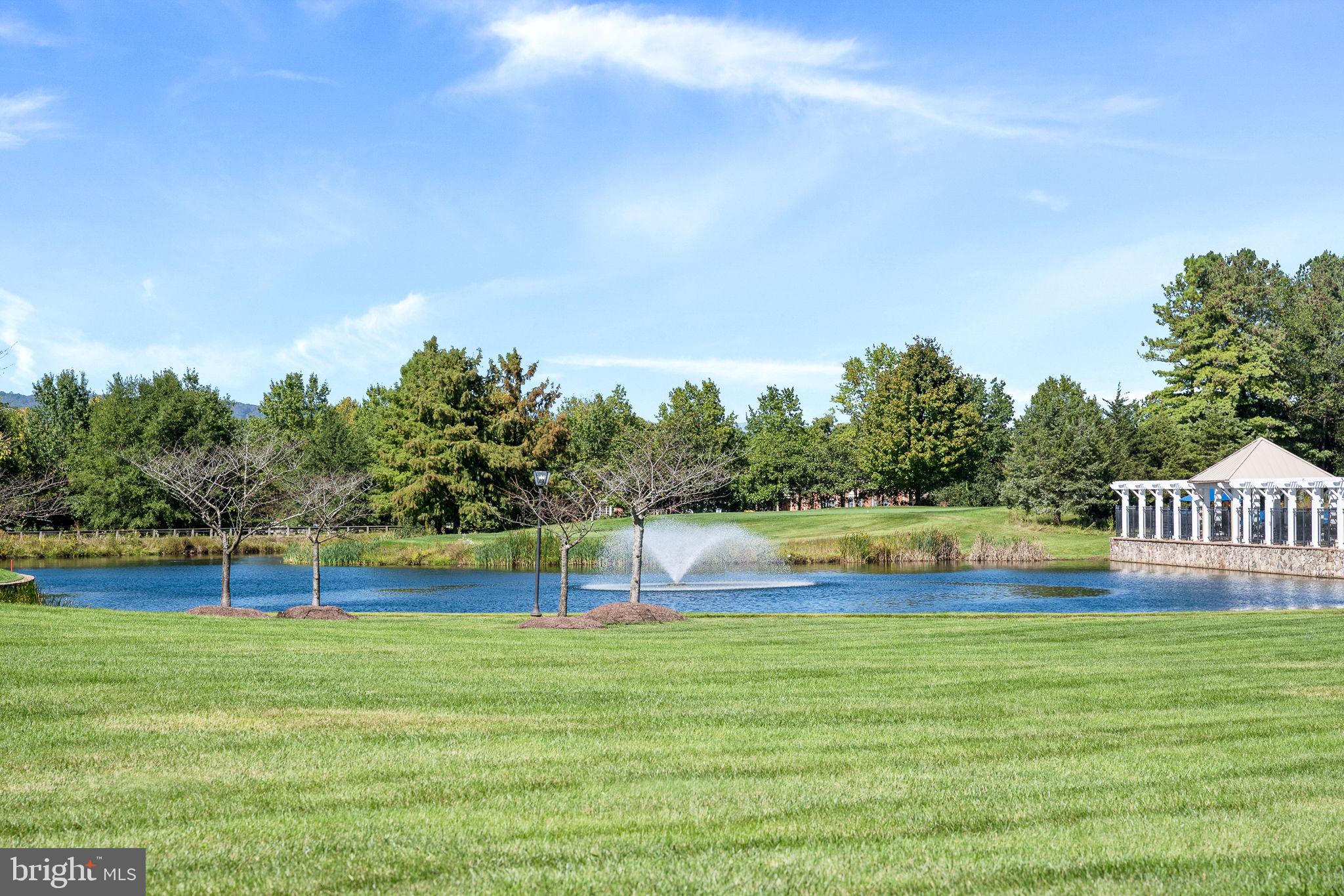 REGENCY AT DOMINION VALLEY - Residential