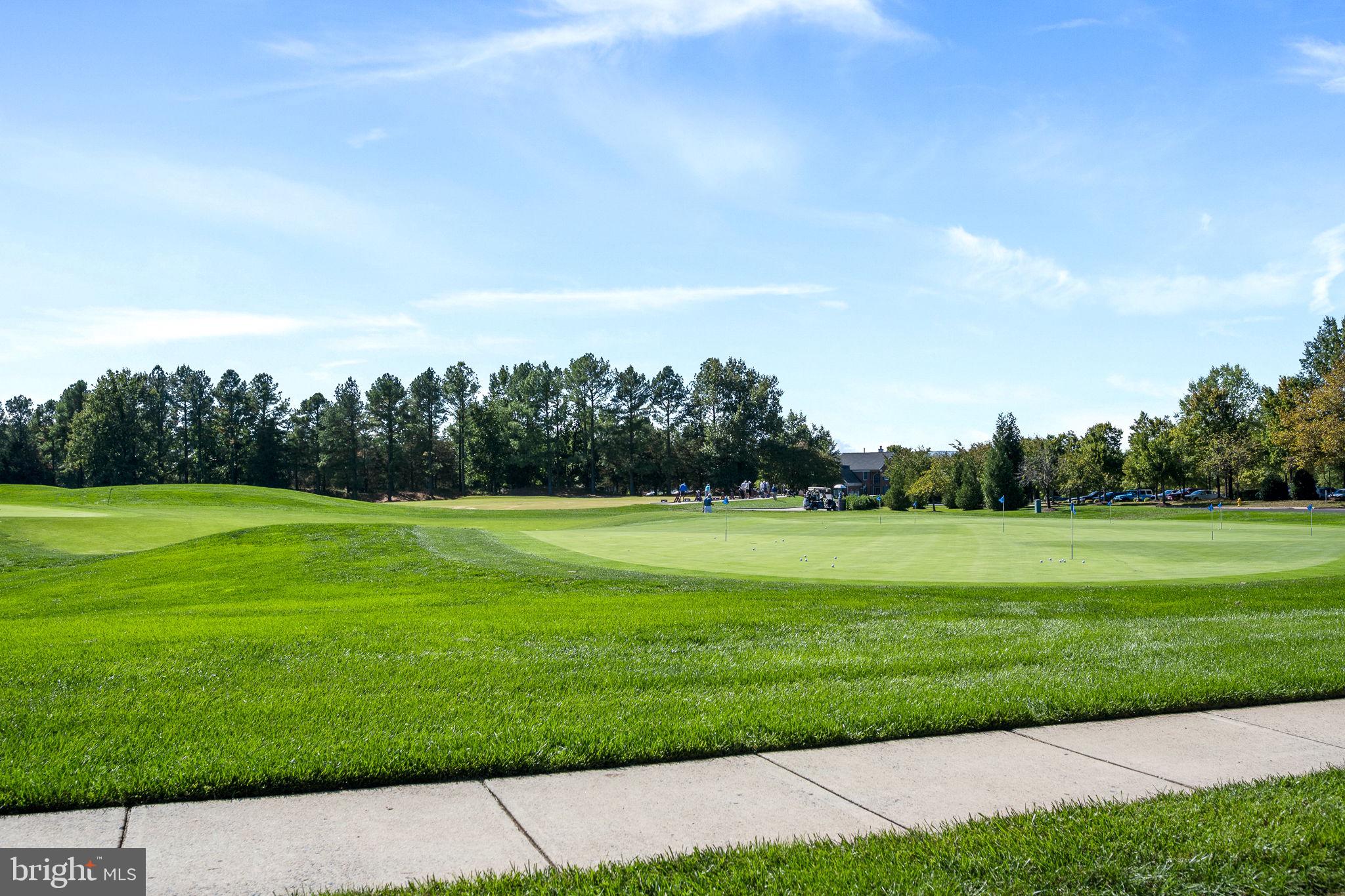 REGENCY AT DOMINION VALLEY - Residential