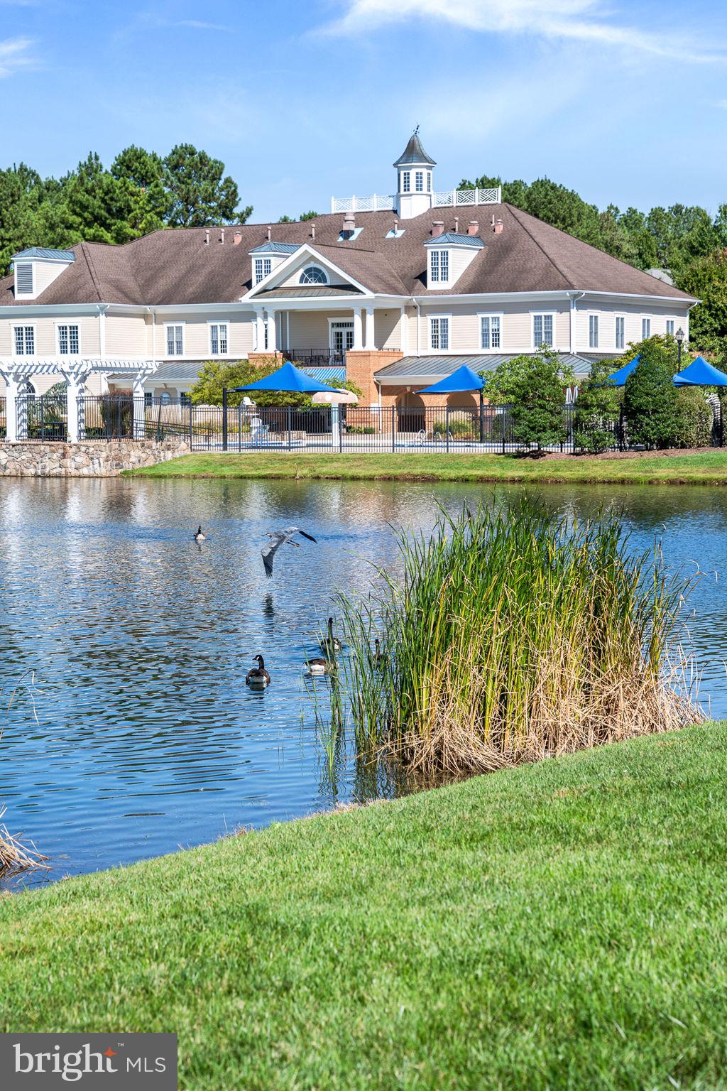 REGENCY AT DOMINION VALLEY - Residential
