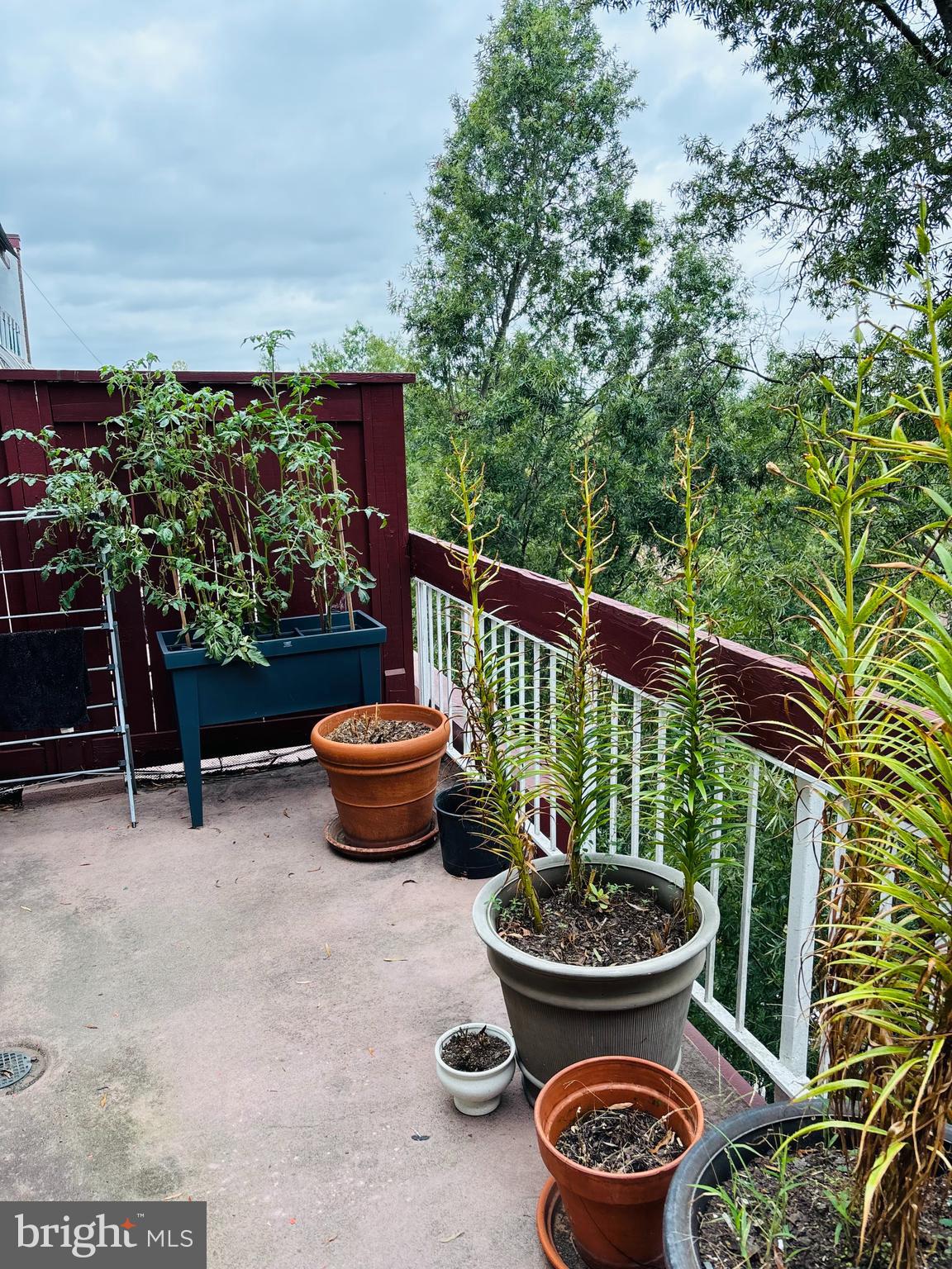 BRYANT WOODS - Residential