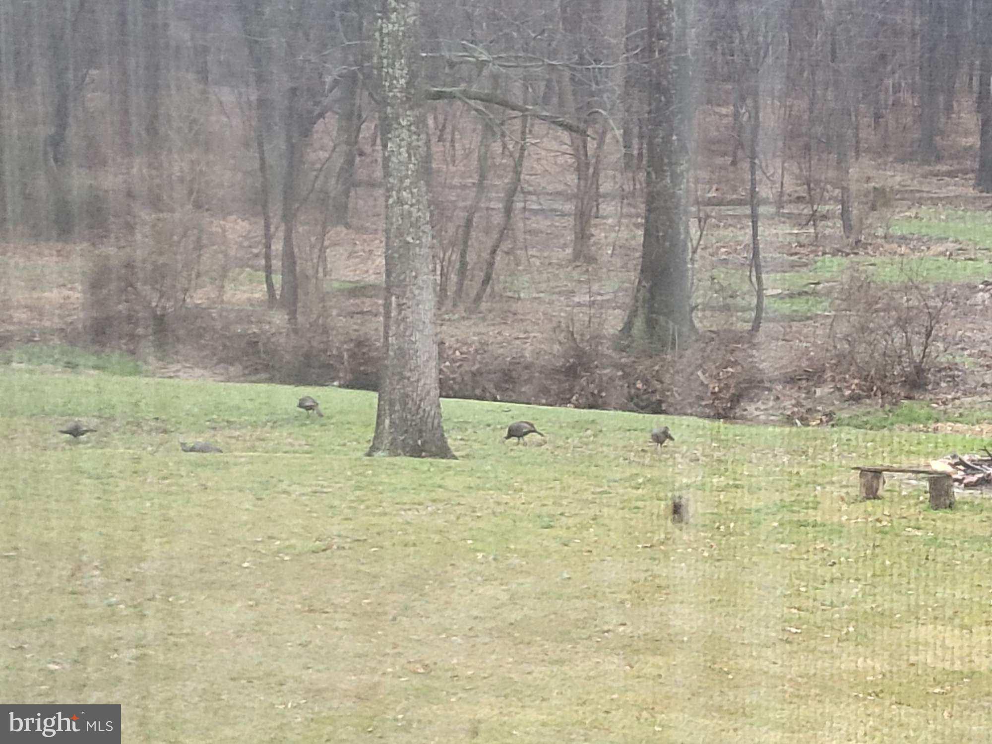 COLORA - Residential