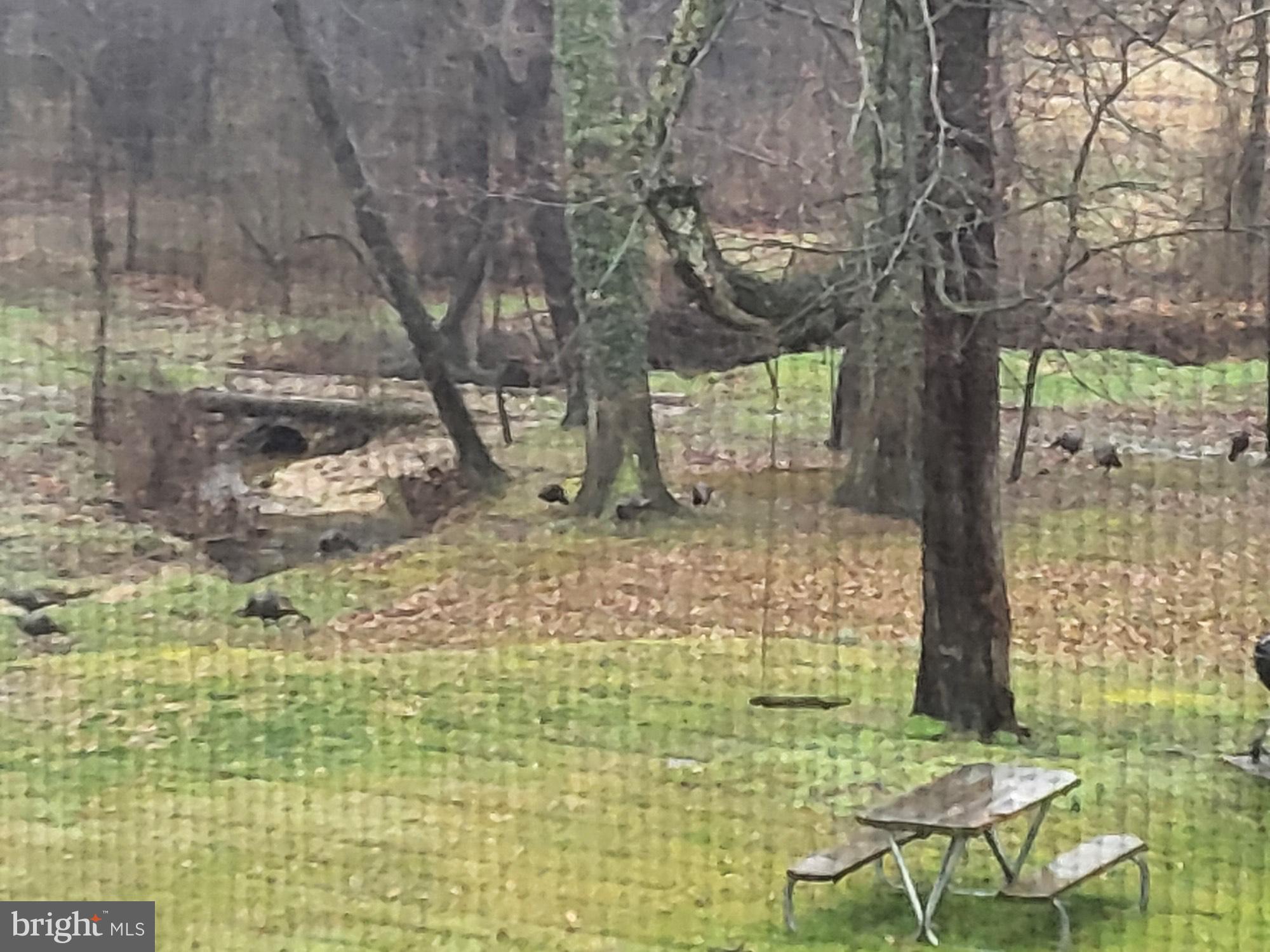 COLORA - Residential