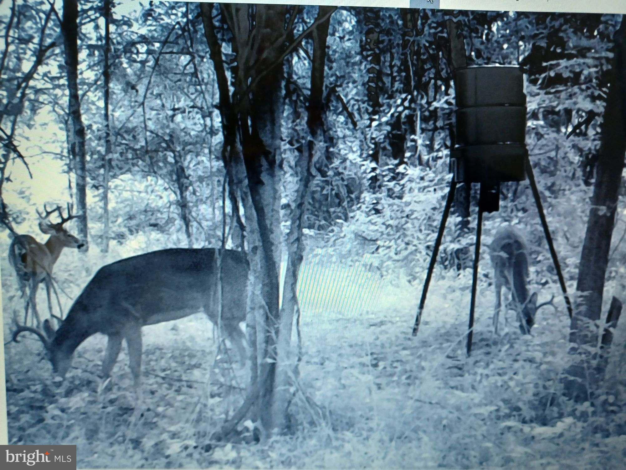 COLORA - Residential