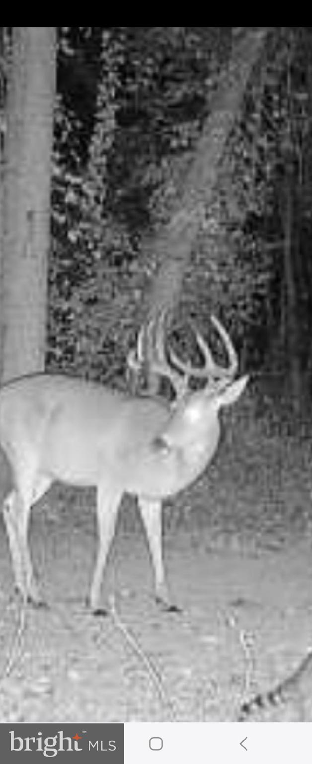 COLORA - Residential