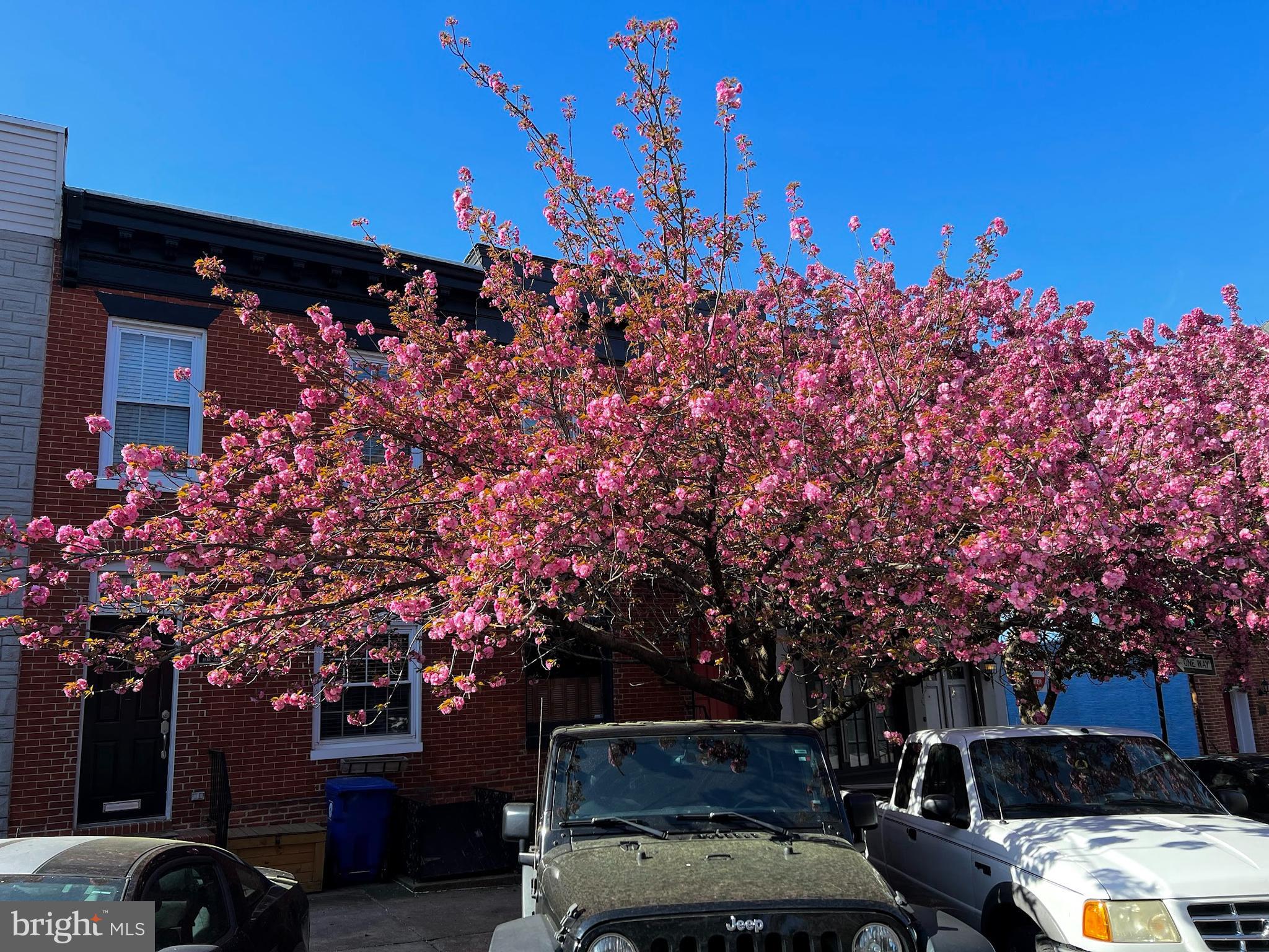 UPPER FELLS POINT - Residential