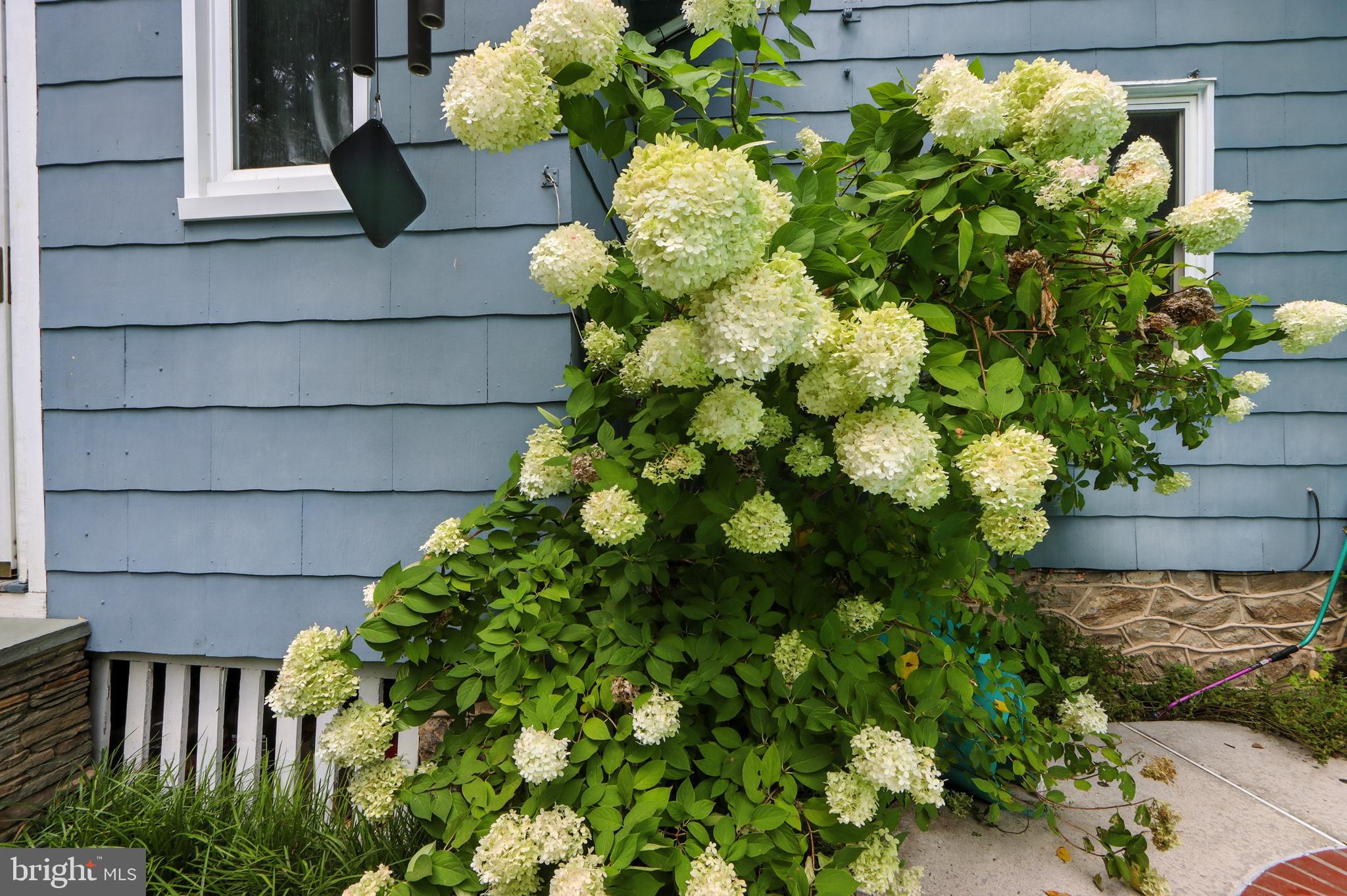 MOUNT WASHINGTON - Residential