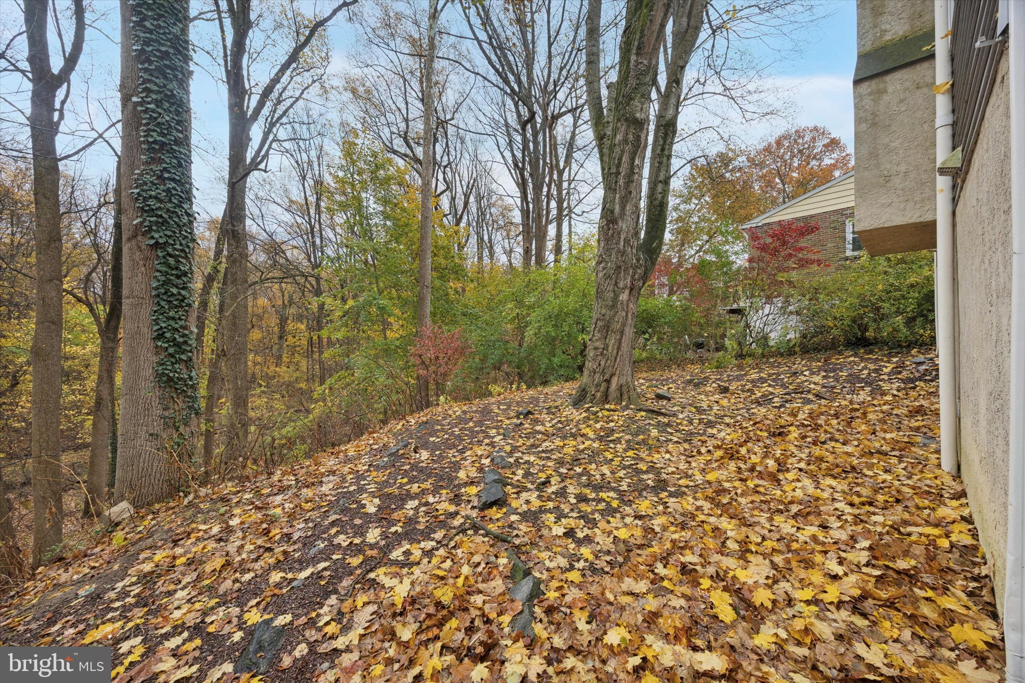 BEATTY HILLS - Residential