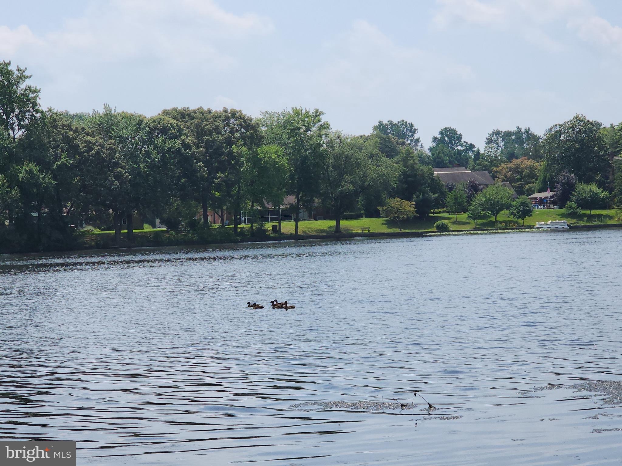 NORTH SHORES - Residential