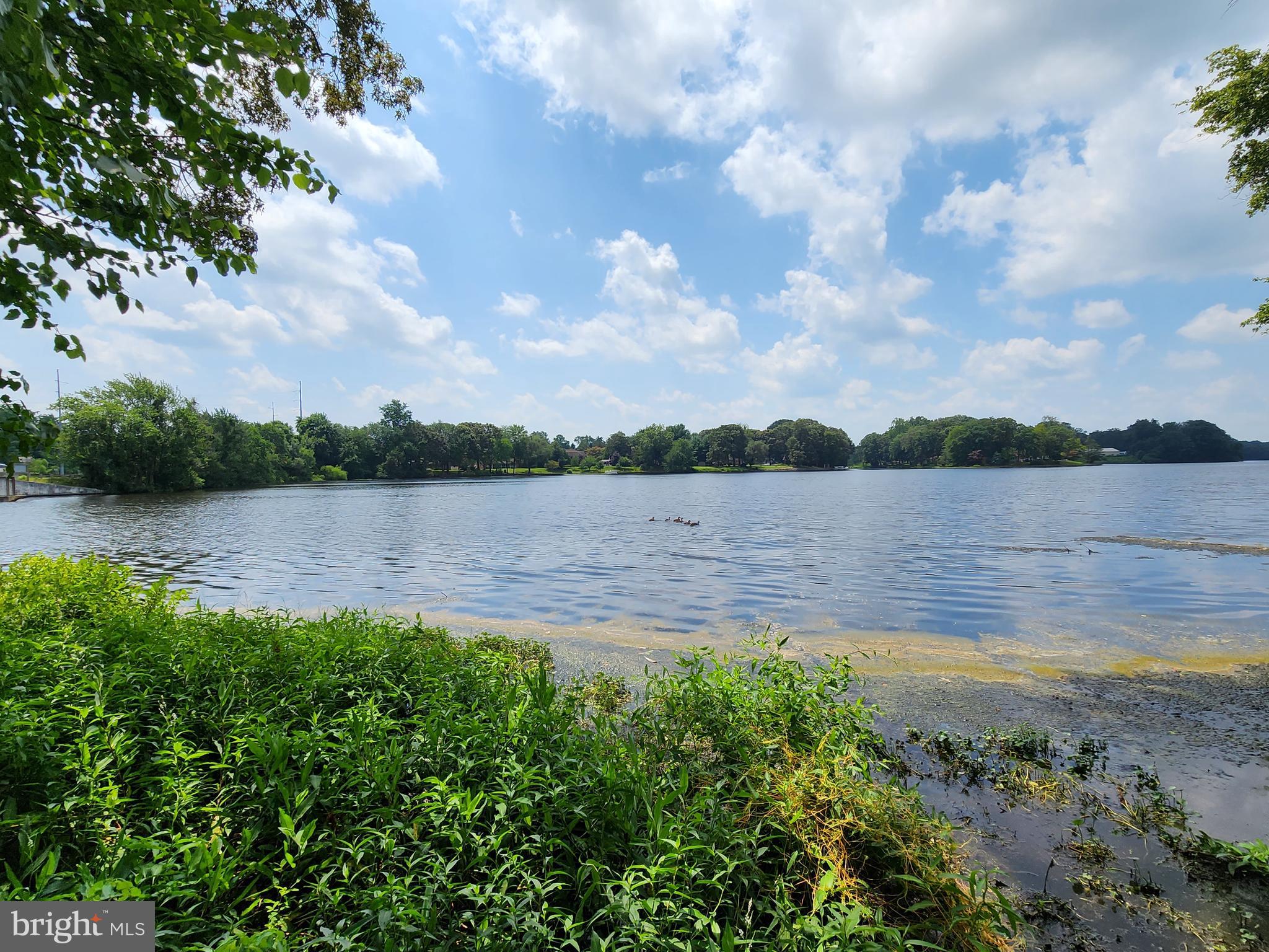 NORTH SHORES - Residential