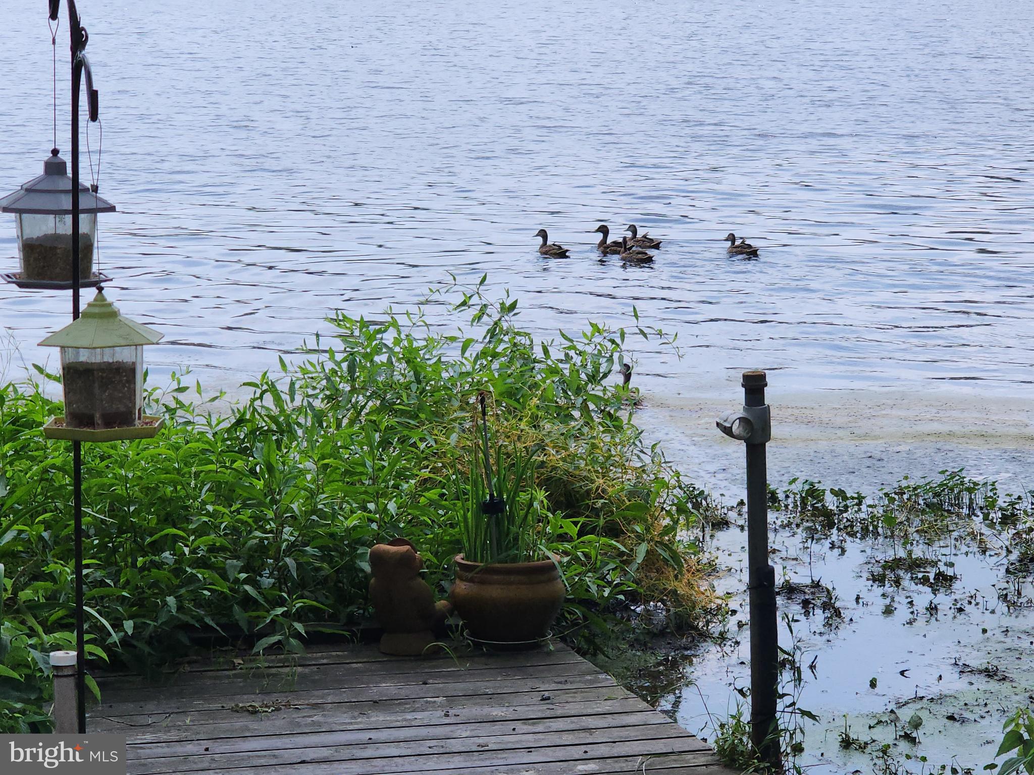 NORTH SHORES - Residential