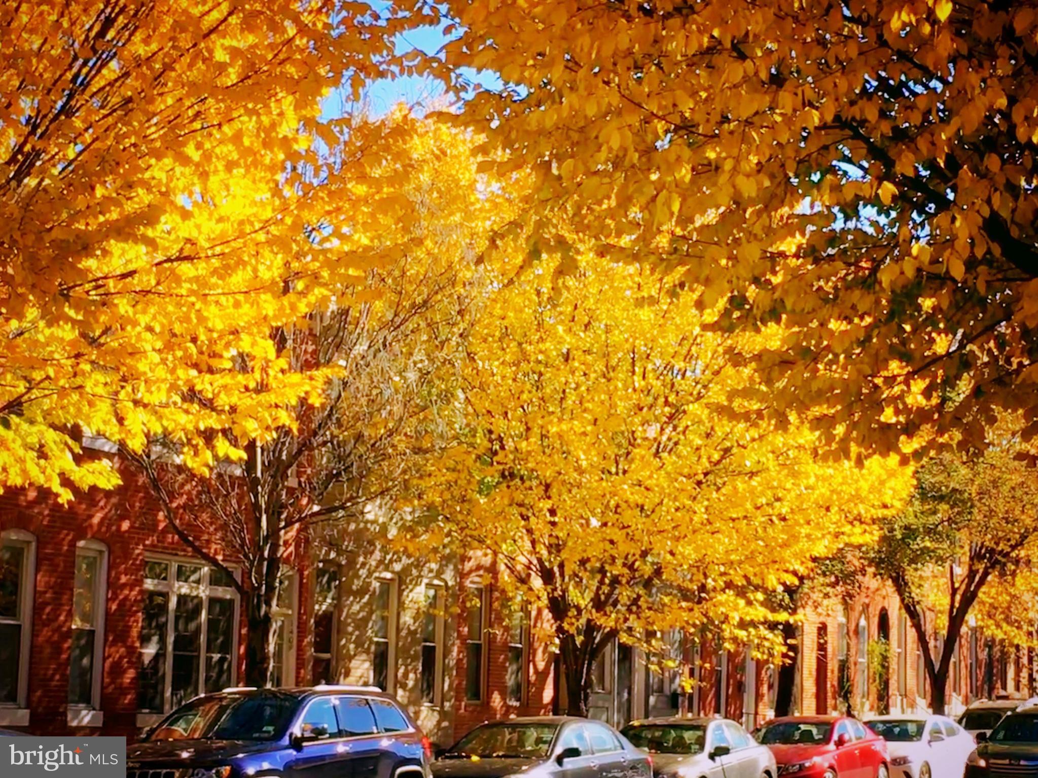 FEDERAL HILL HISTORIC DISTRICT - Residential