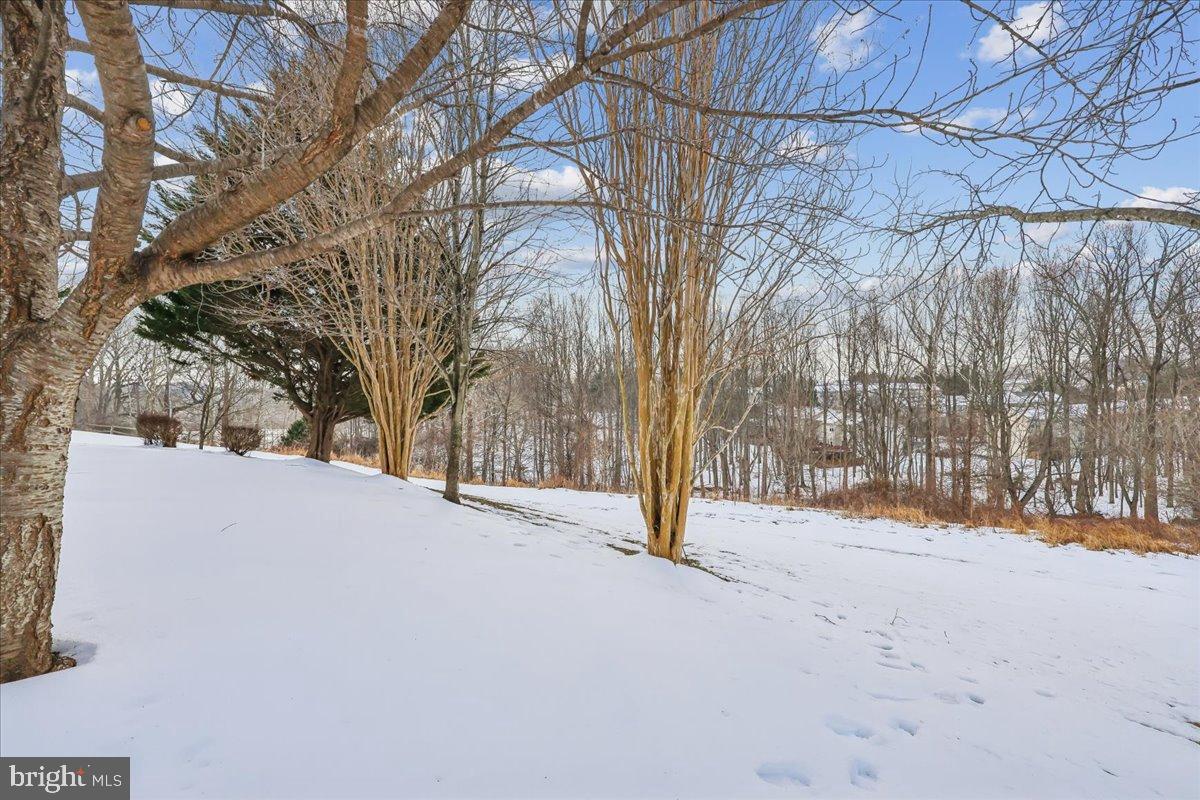 KINGS SQUARE - Residential