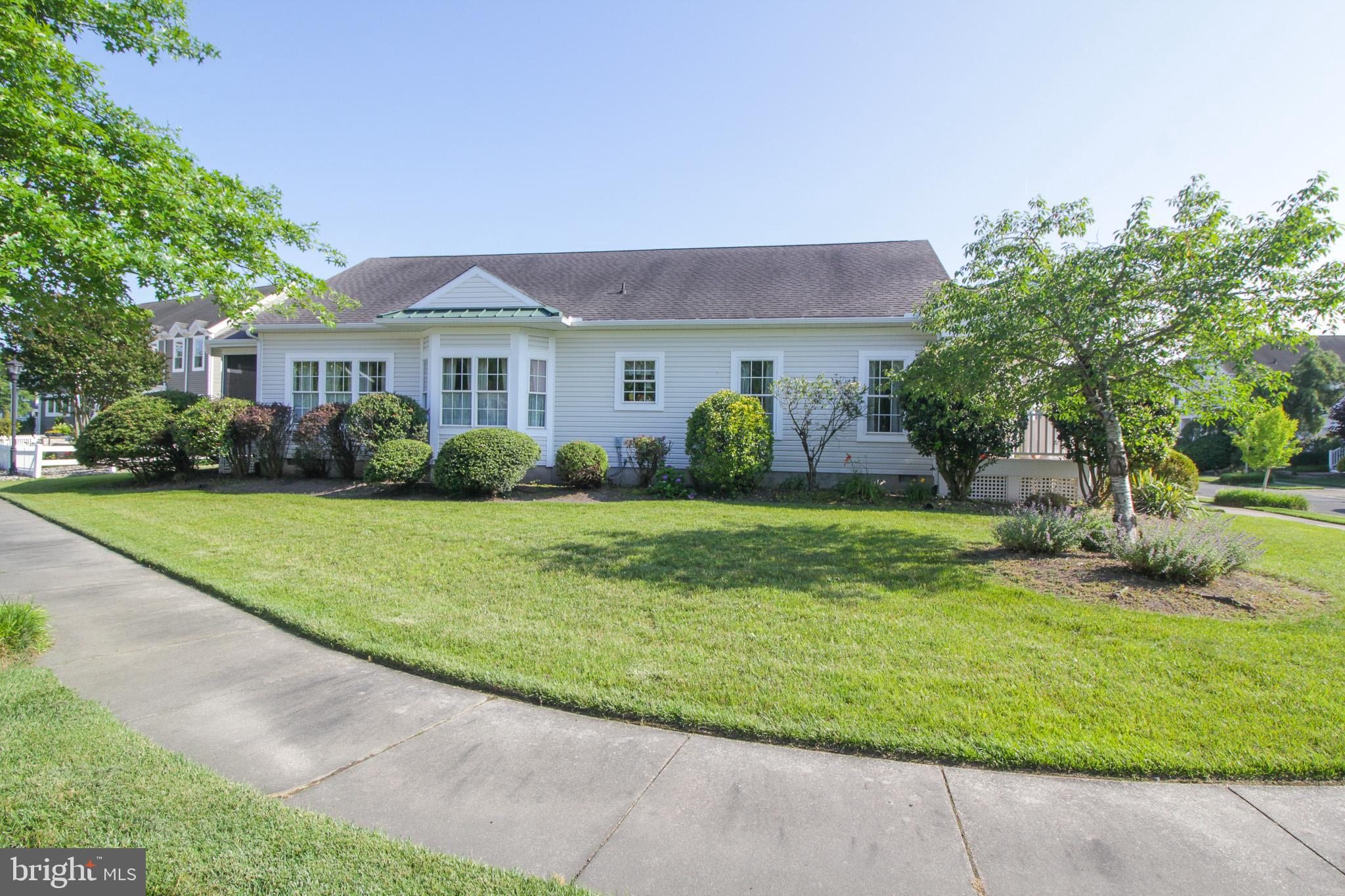 24929 CROOKED STICK 4369