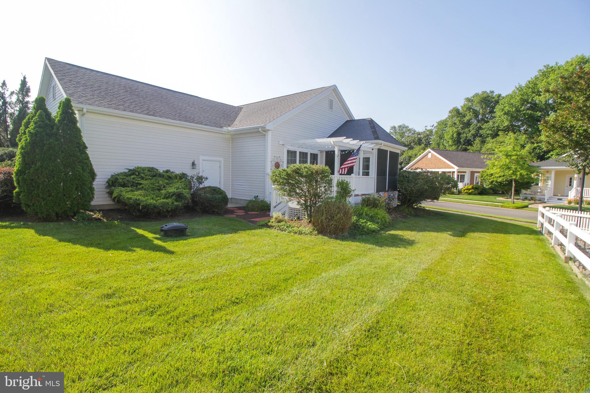 24929 CROOKED STICK 4369
