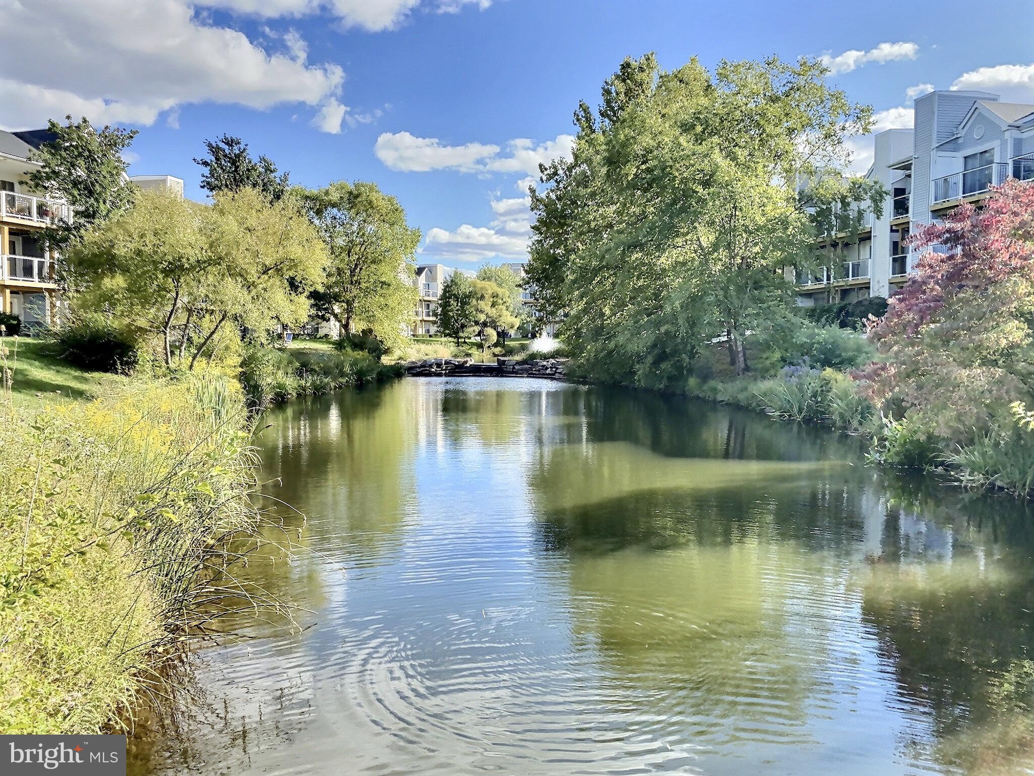 ASHBURN VILLAGE - Residential Lease