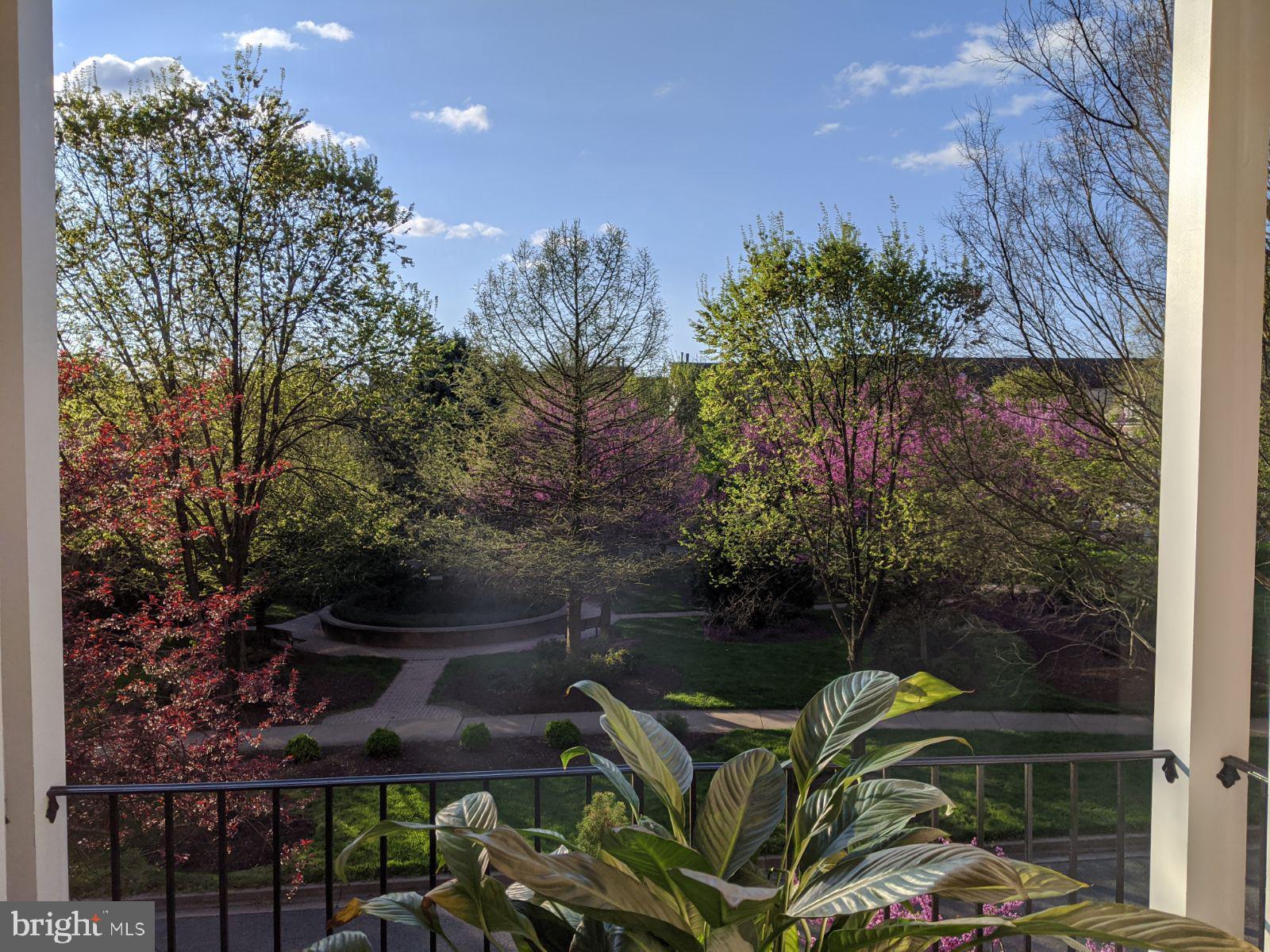 KING FARM - Residential