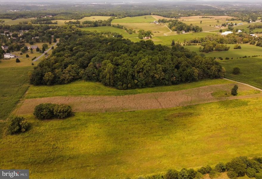 Rare opportunity to purchase approximately 33 acres of land available in Berkeley County.  This land is a perfect blend of wooded and open pasture land plus it is conveniently located within several minutes from Shepherdstown and Martinsburg.  Possibilities abound with this property!  This land is in the process of being subdivided from a larger tract of farmland and is subject to BCPC approval.