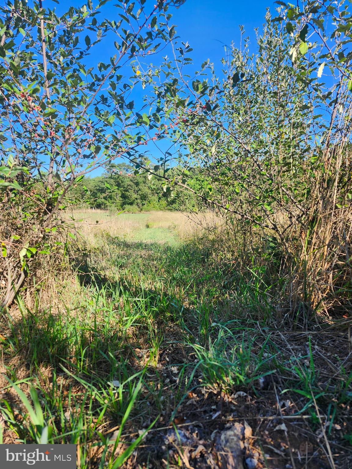 PEACH LAKE FARMS - Land