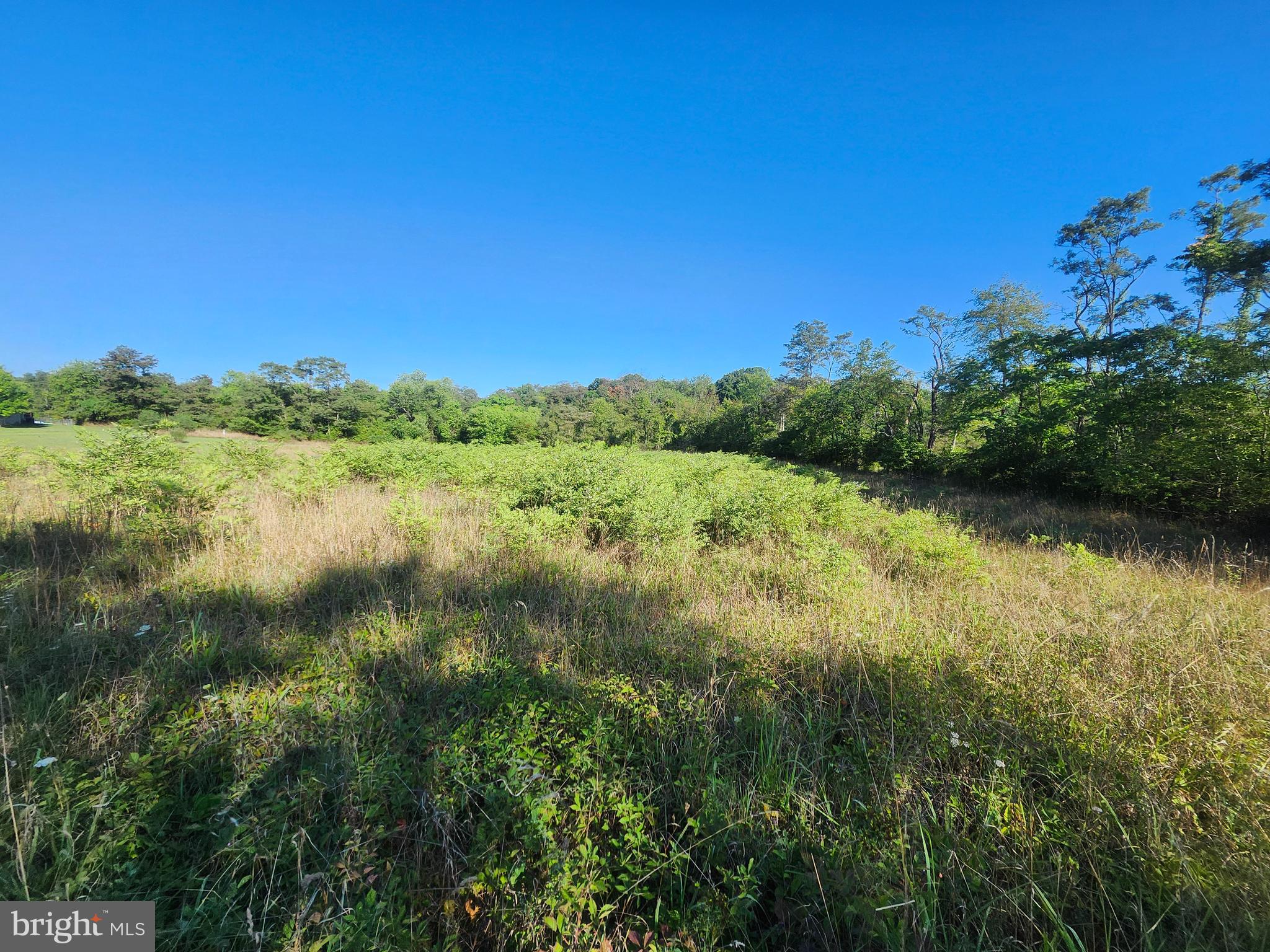 PEACH LAKE FARMS - Land