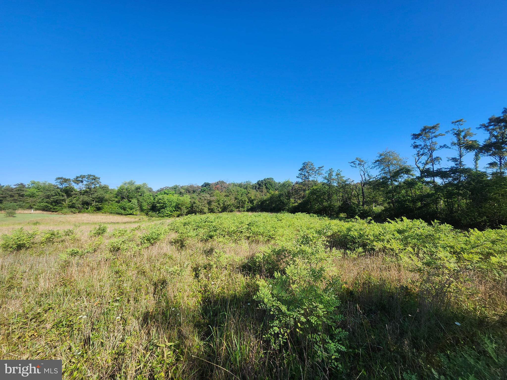 PEACH LAKE FARMS - Land