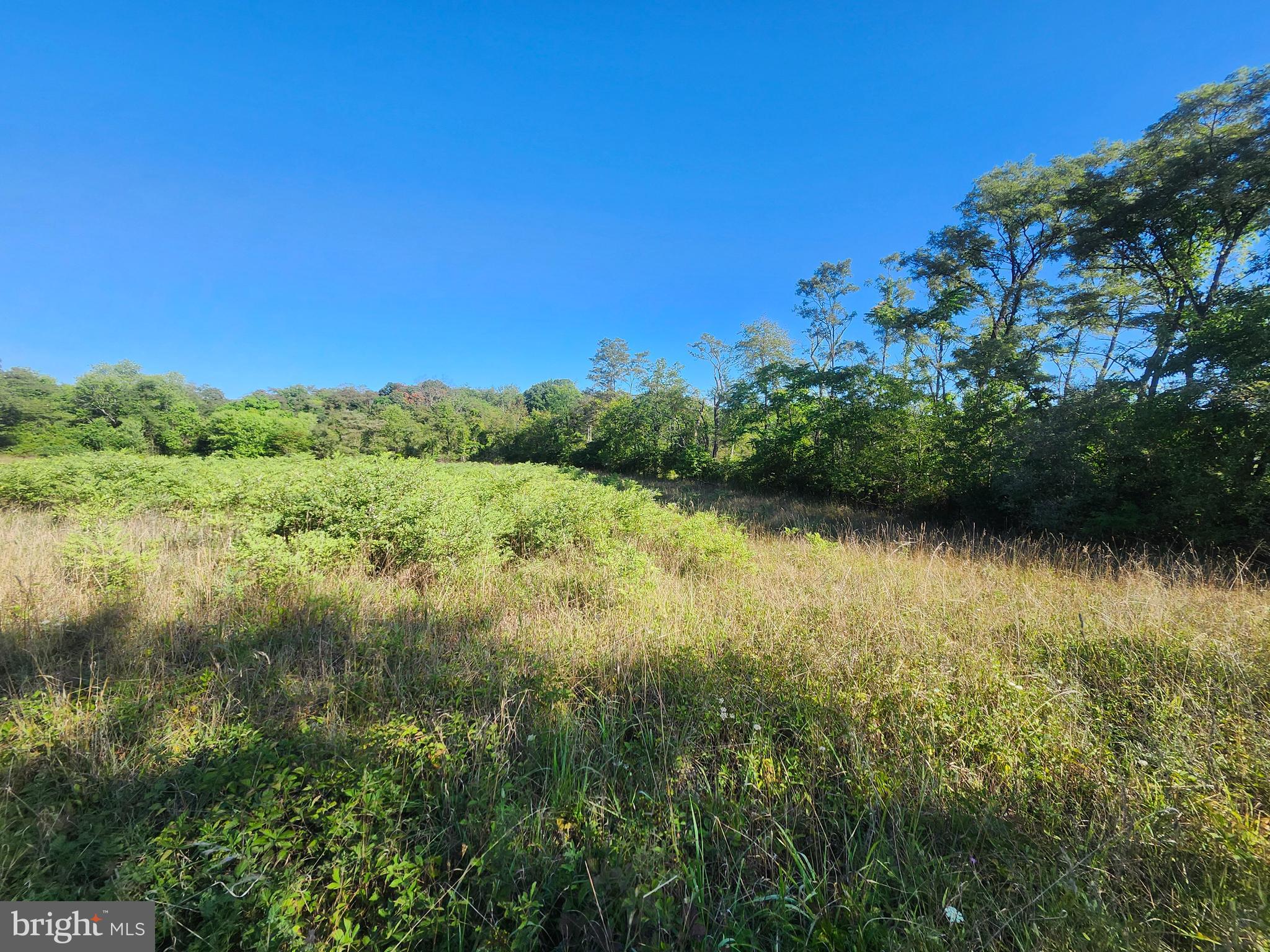 PEACH LAKE FARMS - Land
