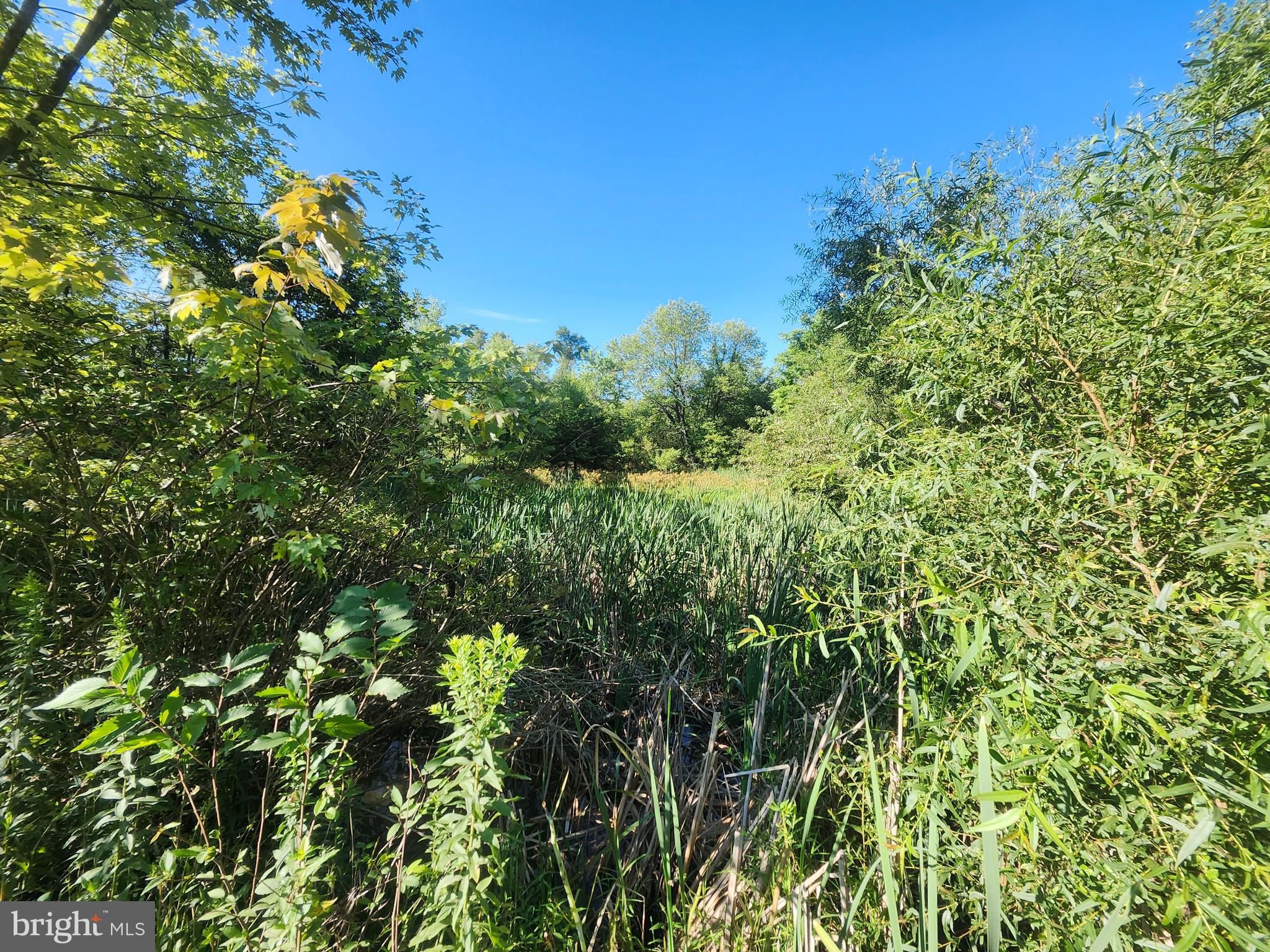 PEACH LAKE FARMS - Land