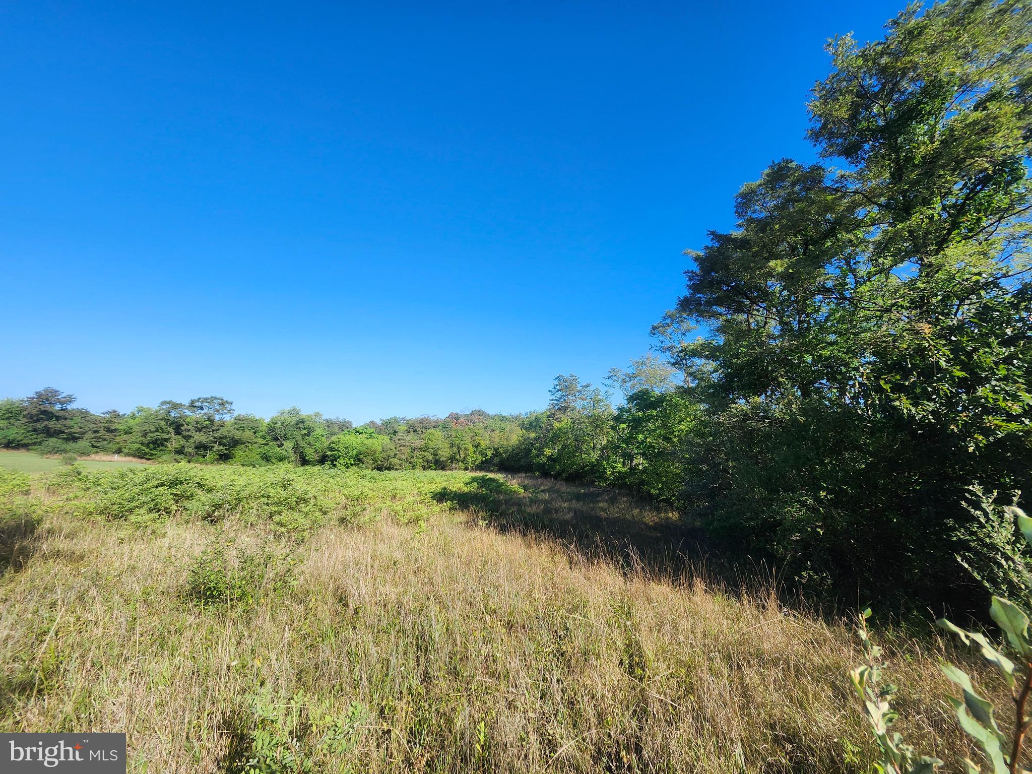 PEACH LAKE FARMS - Land