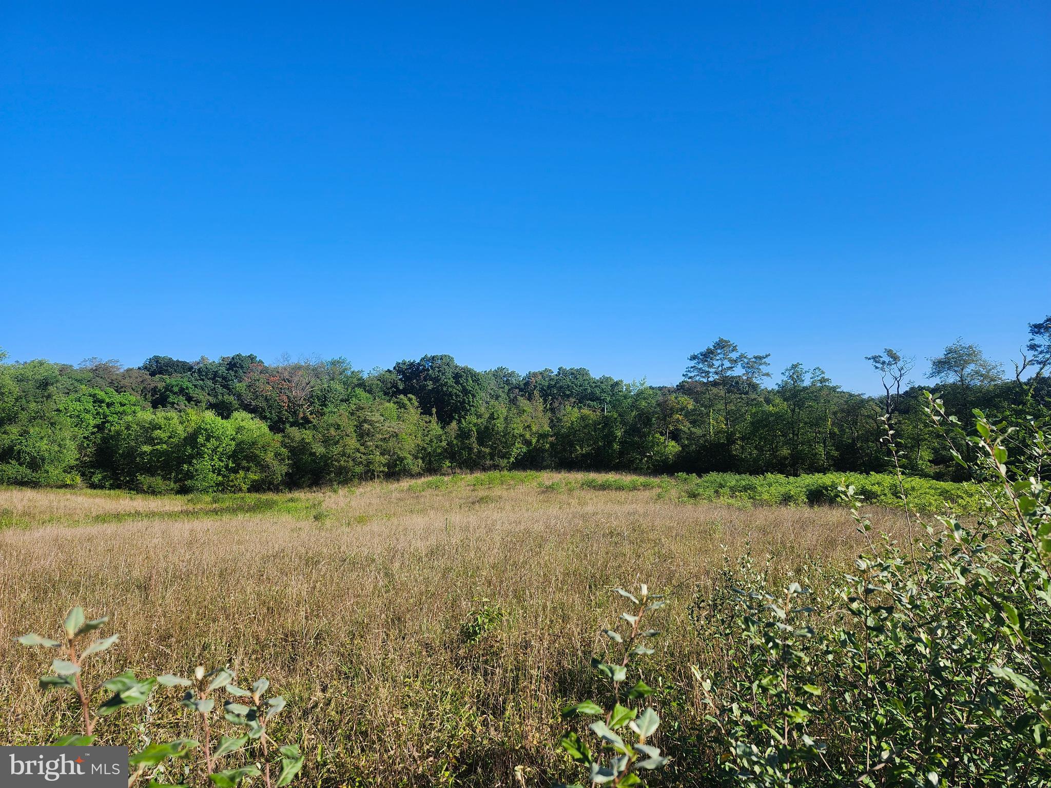 Nestled in the heart of Hampshire County, WV, this beautiful 2.62-acre parcel of land offers the perfect blend of rural serenity and modern convenience. Located just off a quiet country road, the lot is level and primed for your dream home or getaway retreat. Whether you're envisioning a charming country residence or a recreational haven, this lot is versatile, allowing for both residential and recreational use, with single-wide homes permitted. One of the standout features of this property is its proximity to the beautiful Peach Lake Farms lake. Directly joining the community lake property for direct access right at your back door! Wake up and fish everyday! The lot has been previously perked, and utilities are at the corner of the property. Bring your building plans. Just a short 5 miles from the town of Romney, you'll have easy access to essential amenities while still enjoying the peace and privacy of country living. This is the land you've been searching for—don't miss the chance to make it yours today!