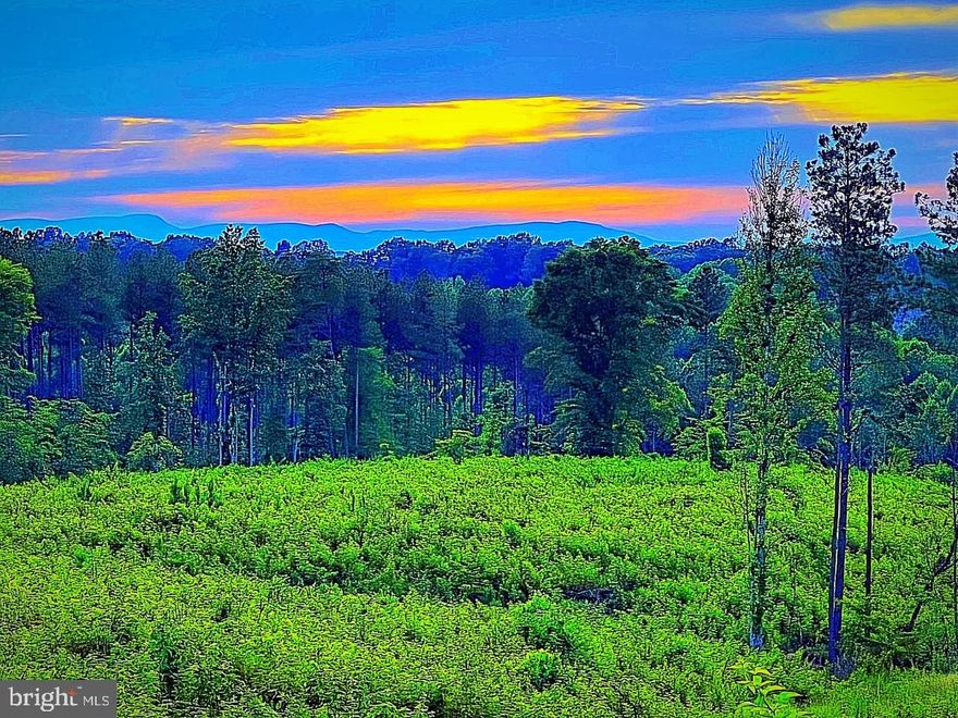 Lots of potential with this large tract of large. Future division potential (contact zoning) Previous timber tract with a mix of woods cleared acreage. Road frontage on Dragoon & Jacobs Ford Rd. Recently surveyed. Winter mountain views. No soil work completed. Subdivision potential. Close to Rt 3. A quick drive to Culpeper or Locust Grove.