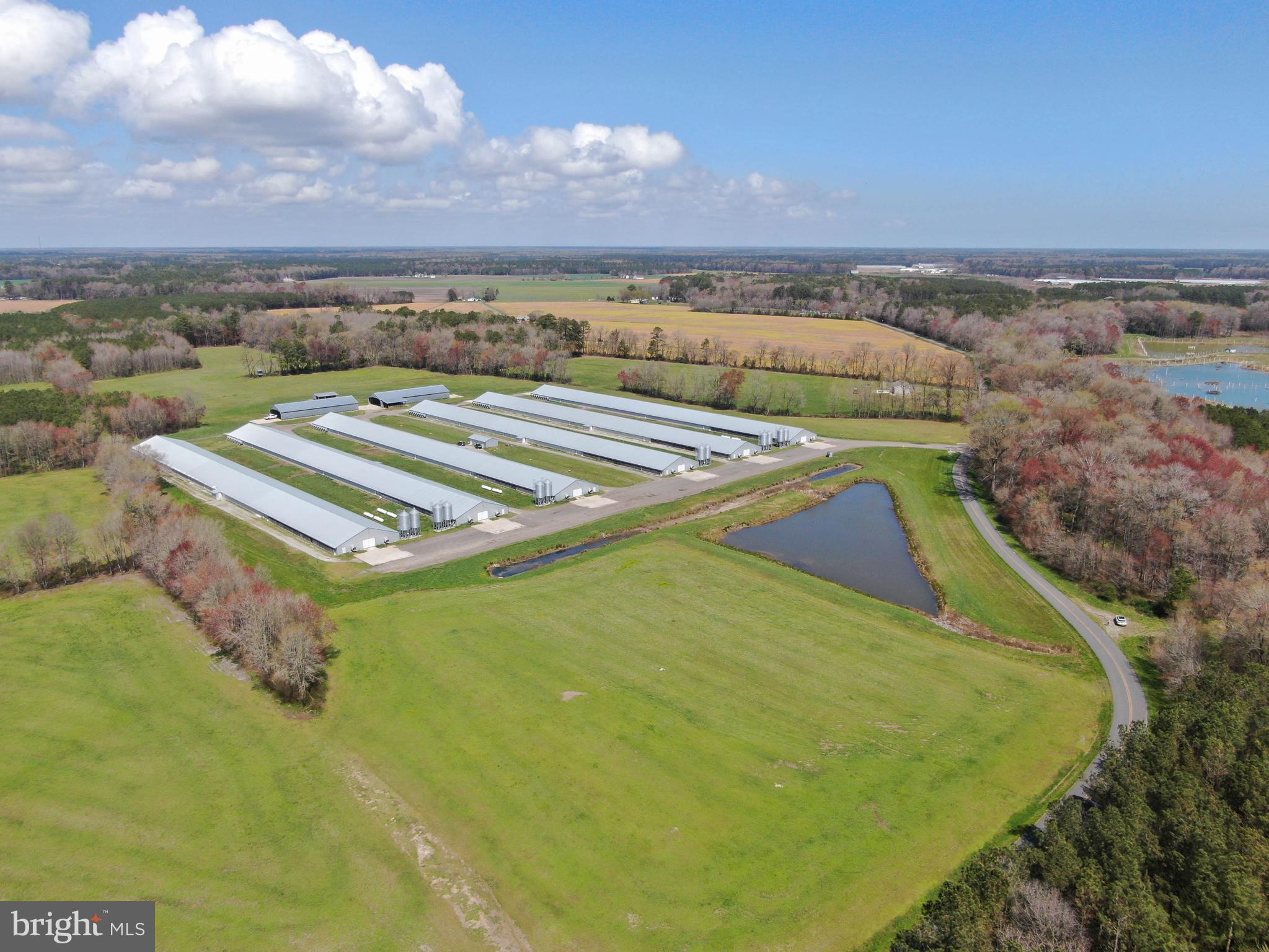 NONE AVAILABLE - Farm