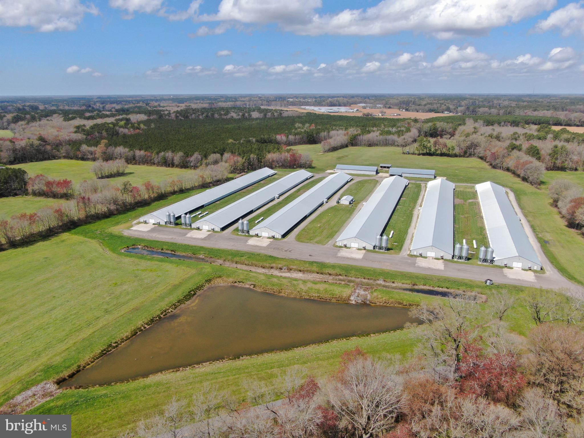 NONE AVAILABLE - Farm