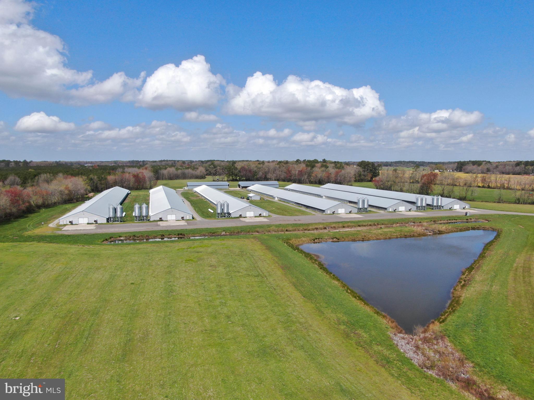 NONE AVAILABLE - Farm