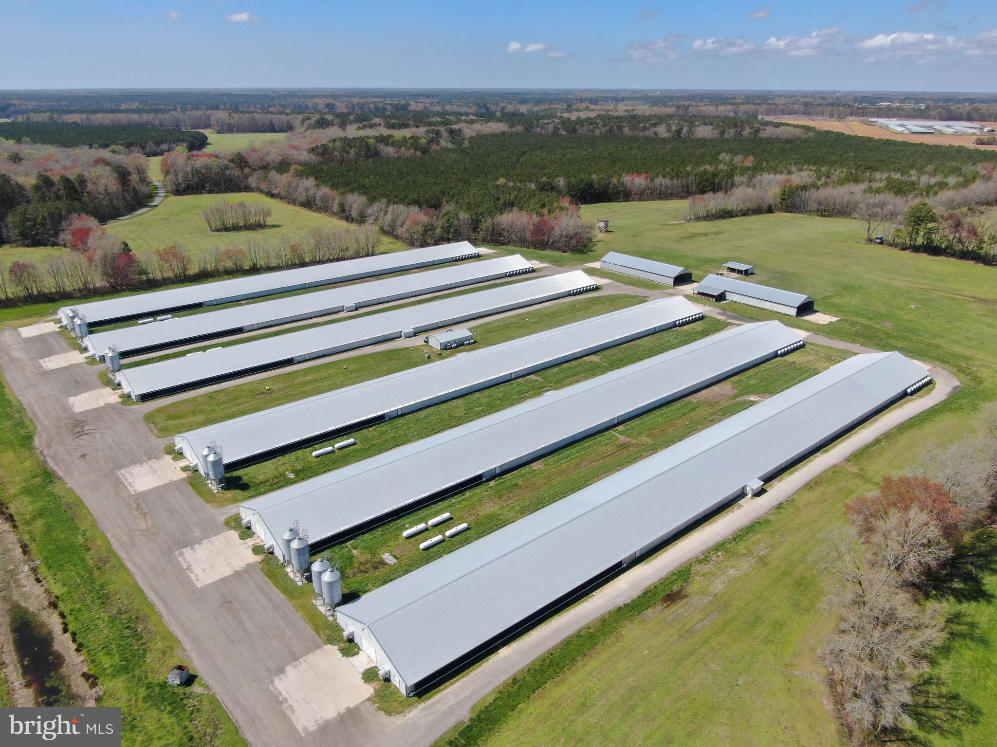 NONE AVAILABLE - Farm