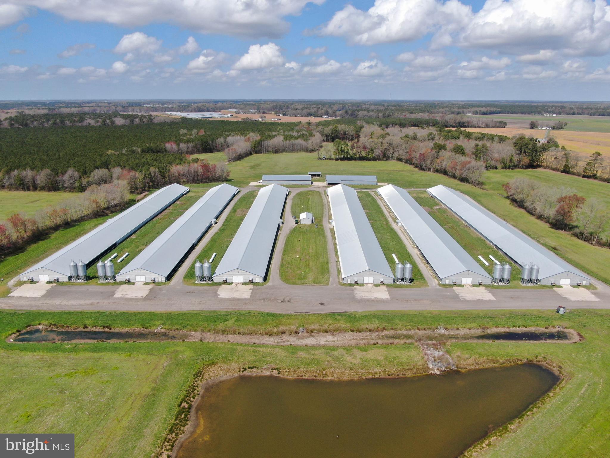 NONE AVAILABLE - Farm