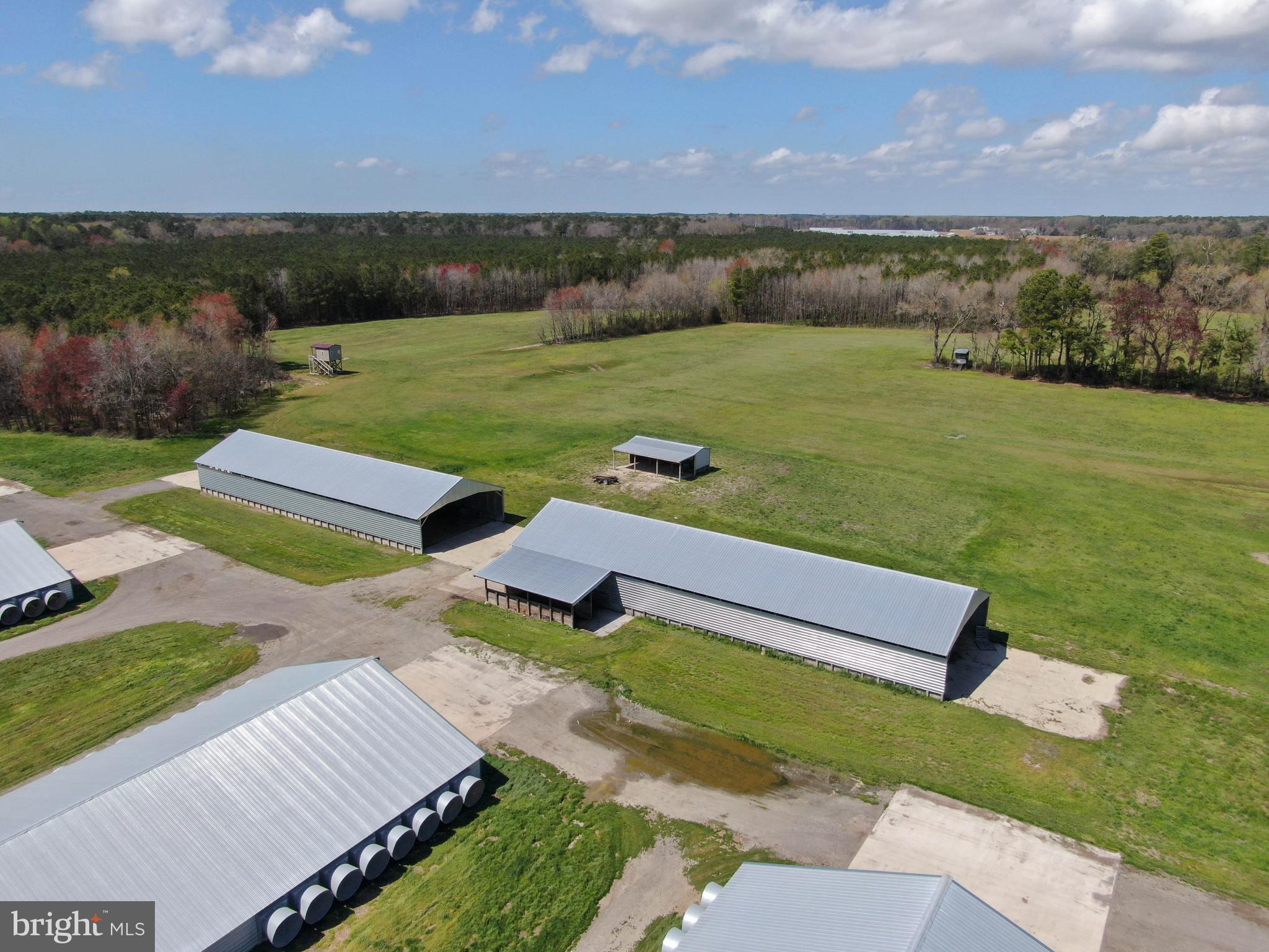 NONE AVAILABLE - Farm